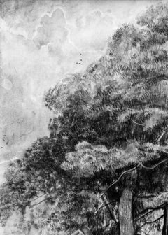 Kiefernholz und Spruce