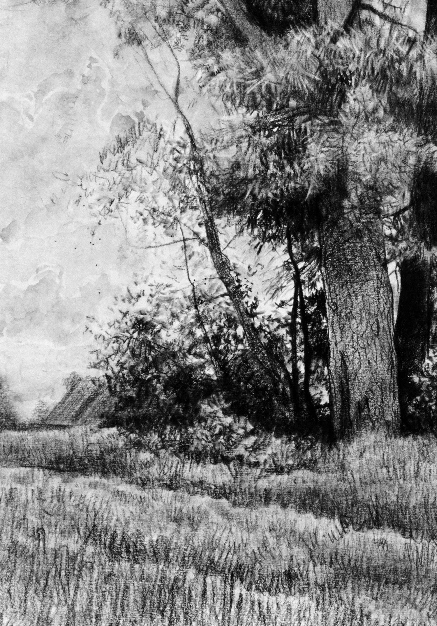 Pino y abeto - Landscape Art Gris de Simon Kozhin