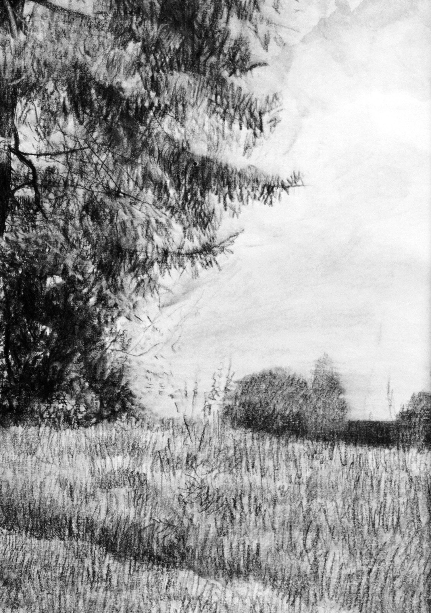 El pino y el abeto se yerguen en el campo como un hermano y una hermana que soportan el mal tiempo. Ni las tormentas, ni las tempestades, ni el calor abrasador, las heladas laúd no los separan unos de otros.
Exposición:
2012 