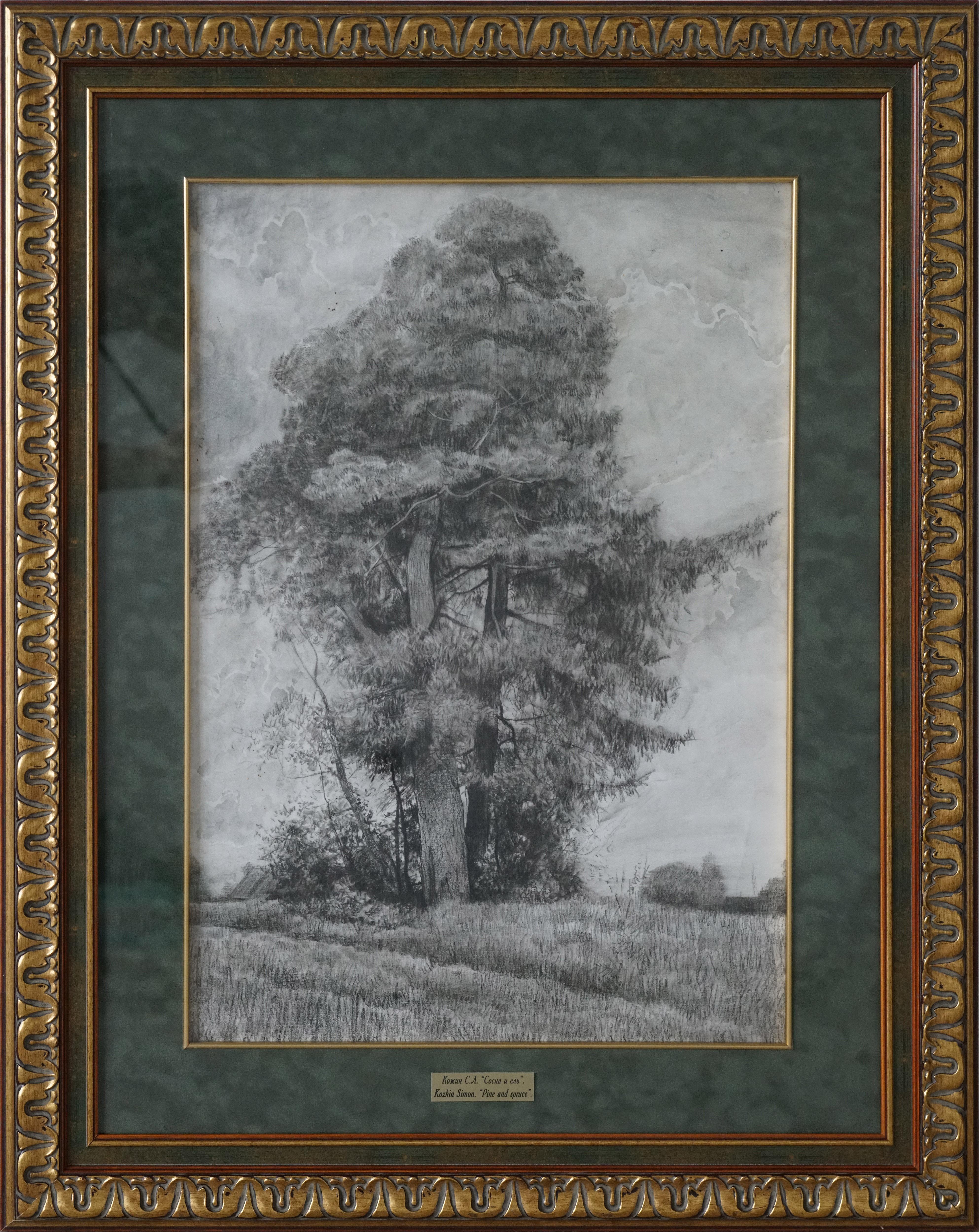 Pine et Spruce en vente 1