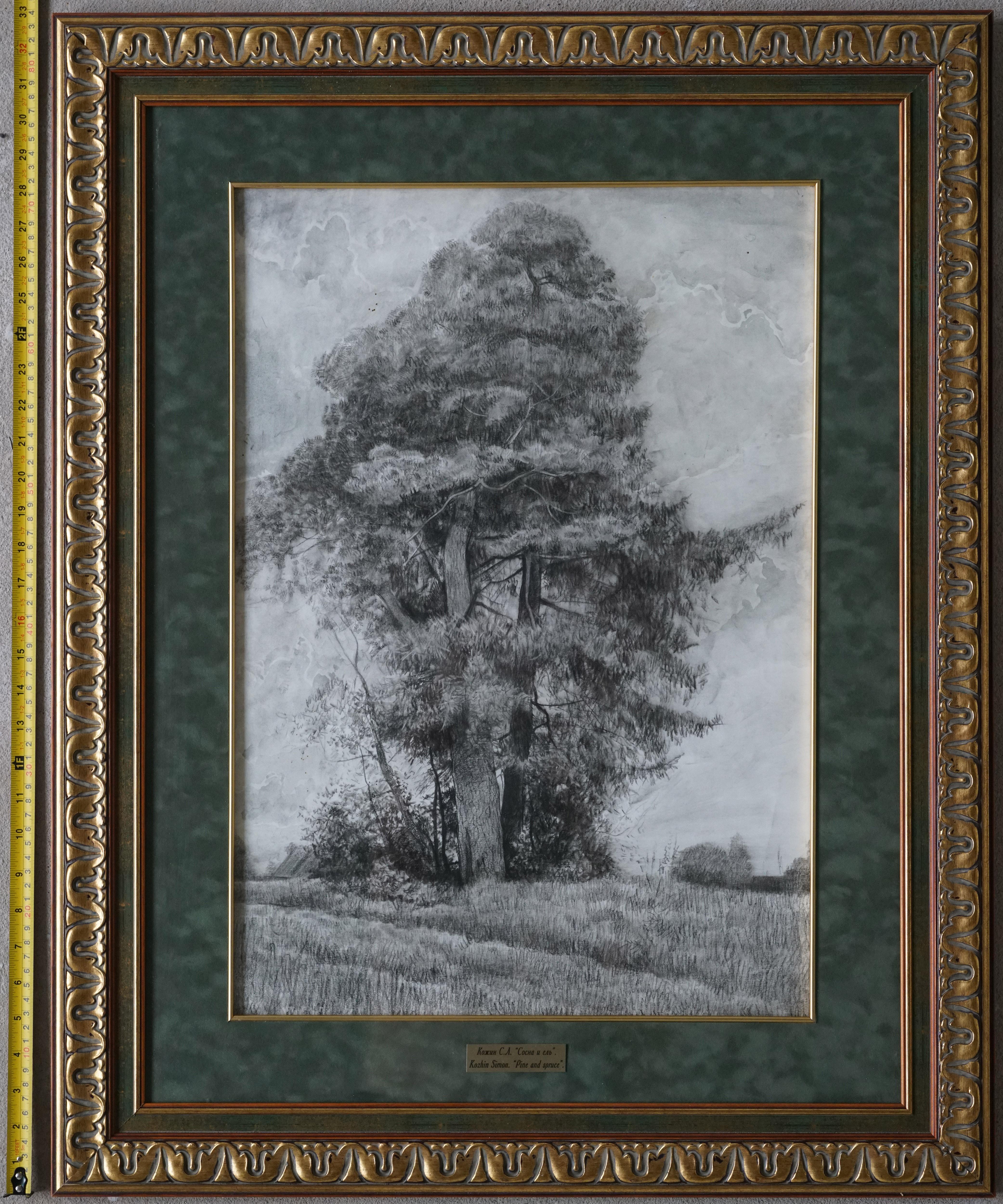 Pine et Spruce en vente 3