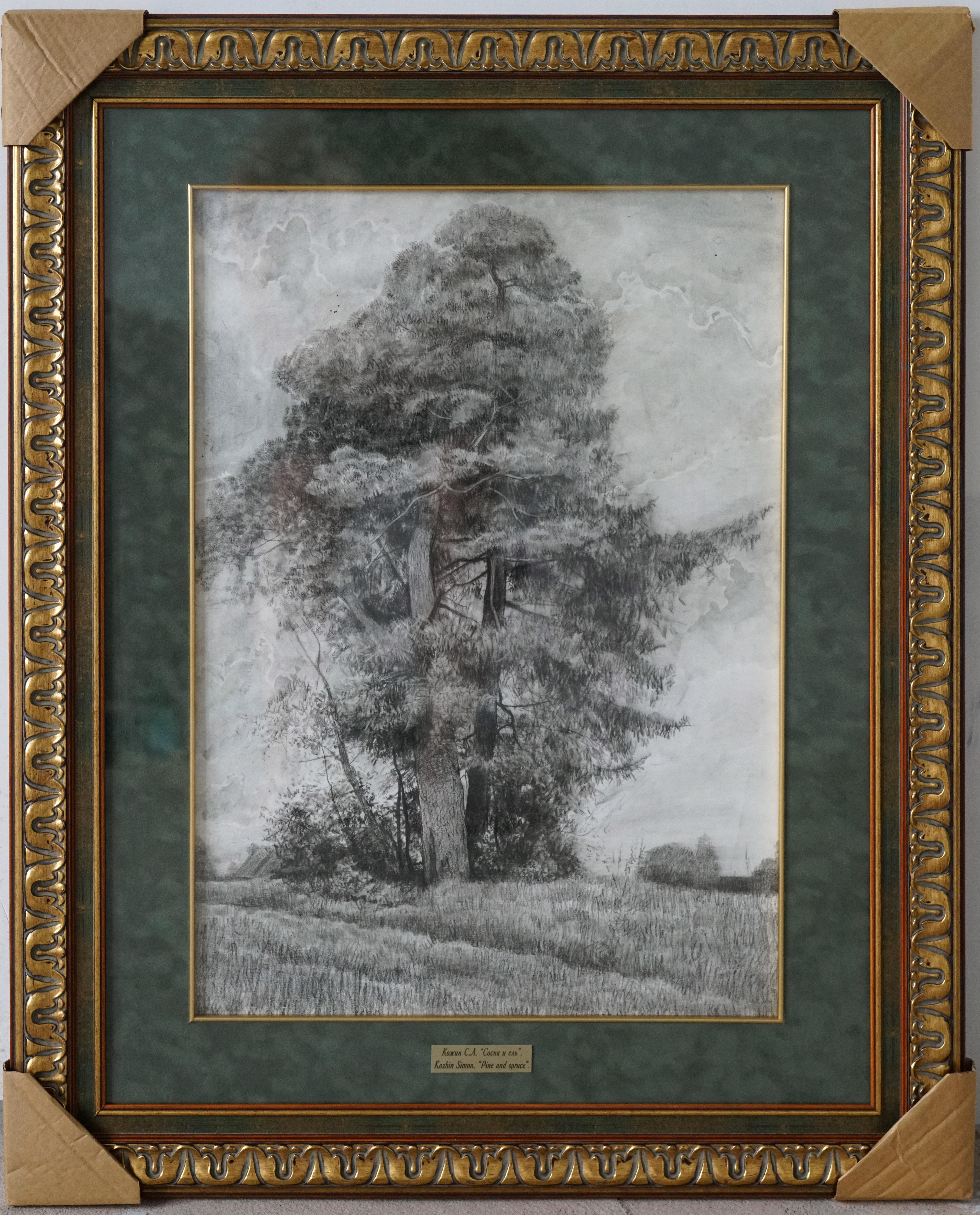Pine et Spruce en vente 5