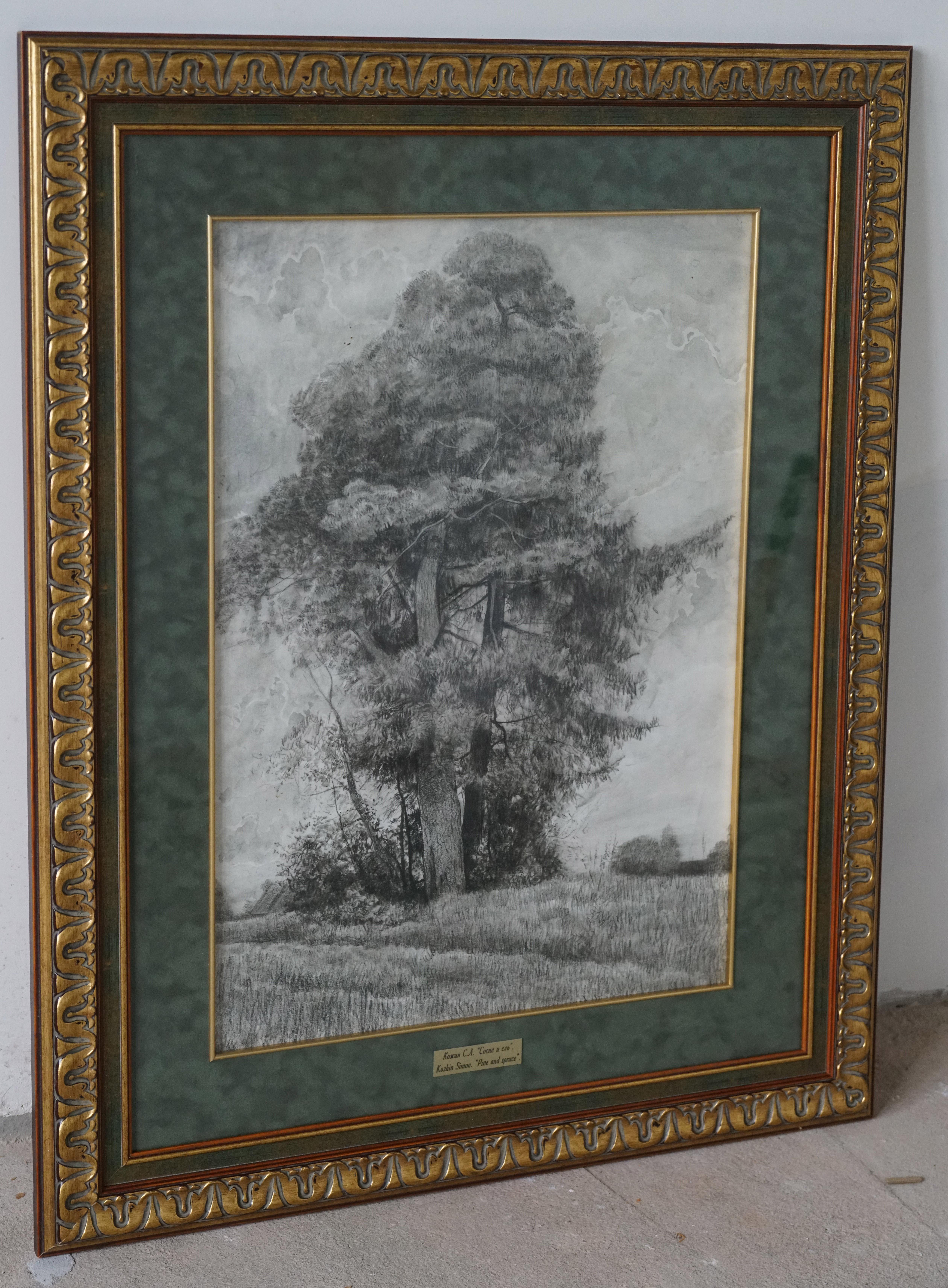 Pine et Spruce en vente 6