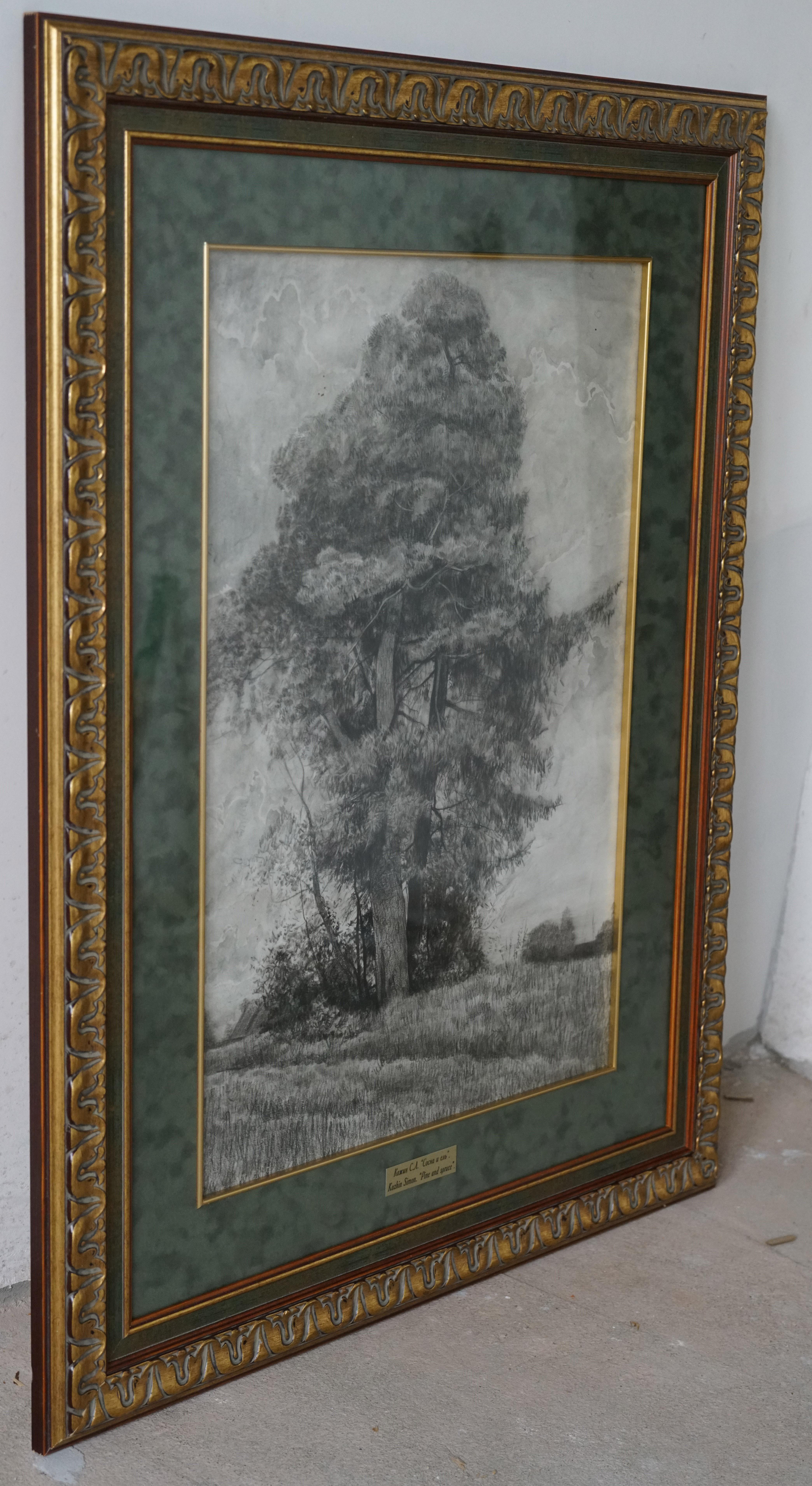 Pine et Spruce en vente 7
