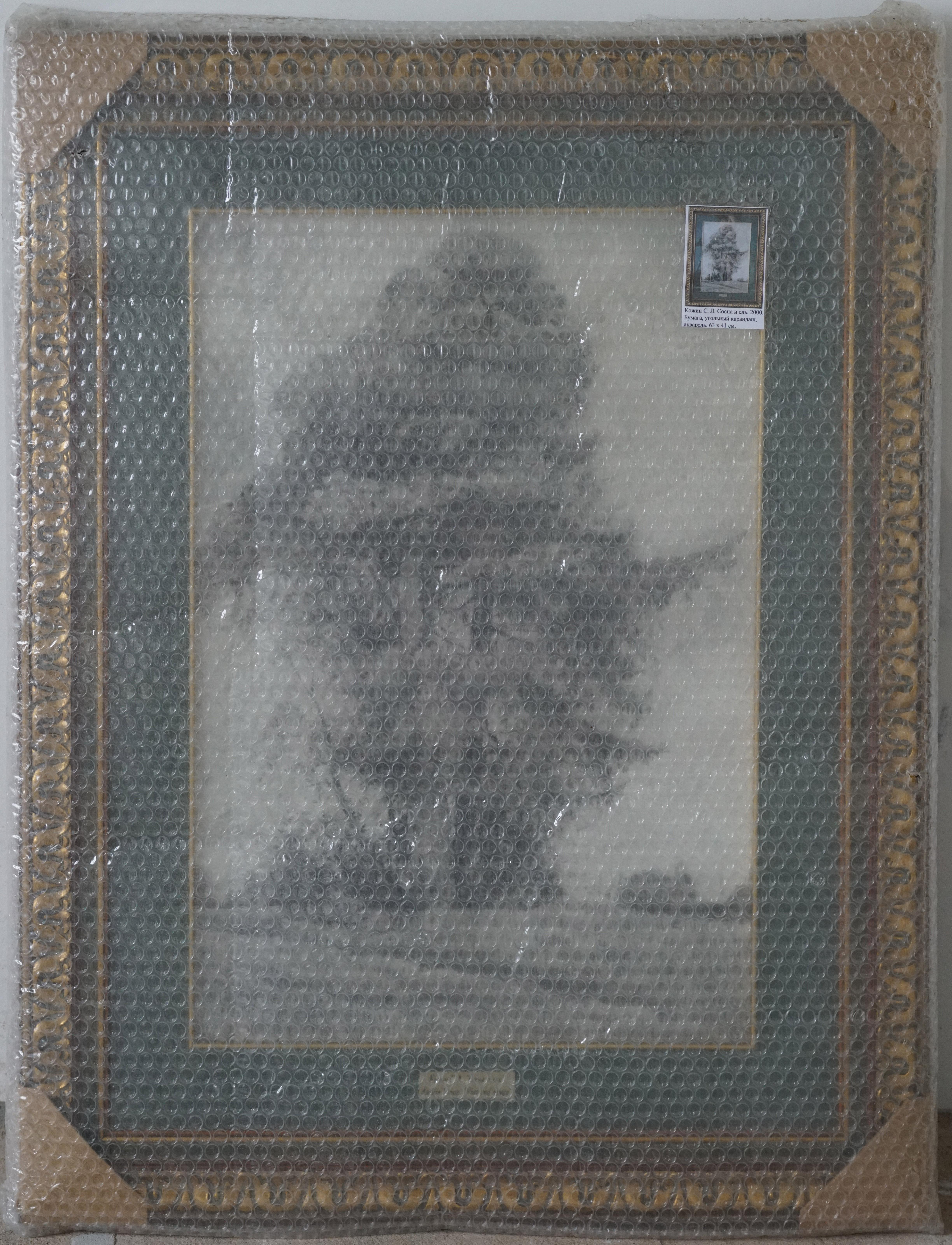 Pine et Spruce en vente 11
