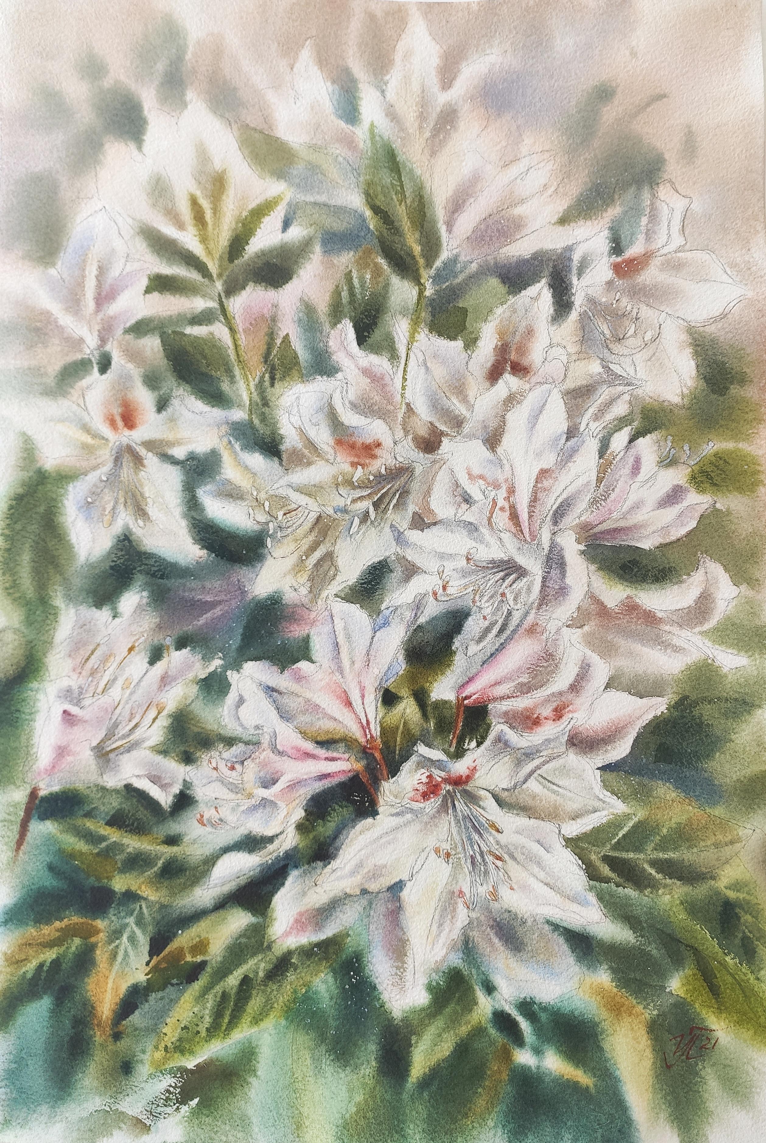 Rododendro en flor Pintura en acuarela