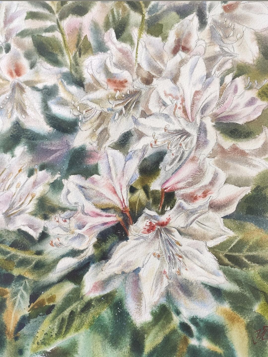 Aquarelle d'un rhododendron en fleurs - Impressionnisme Art par Irina Pronina 