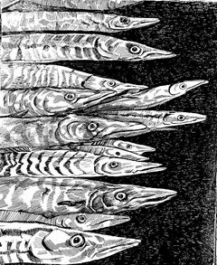 We are so different, yet so alike at the same time.