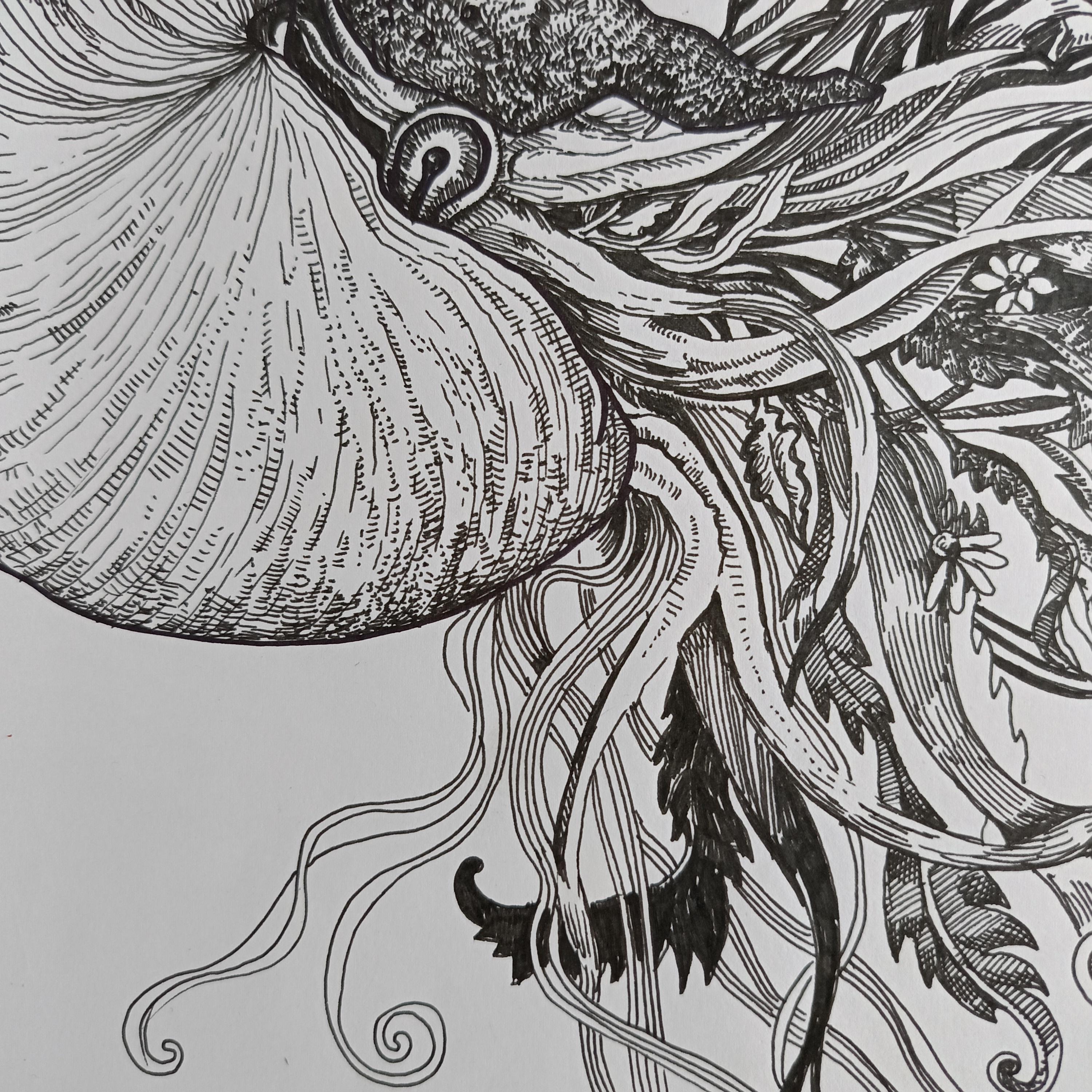 To blossom, you must come out of your shell. For Sale 6