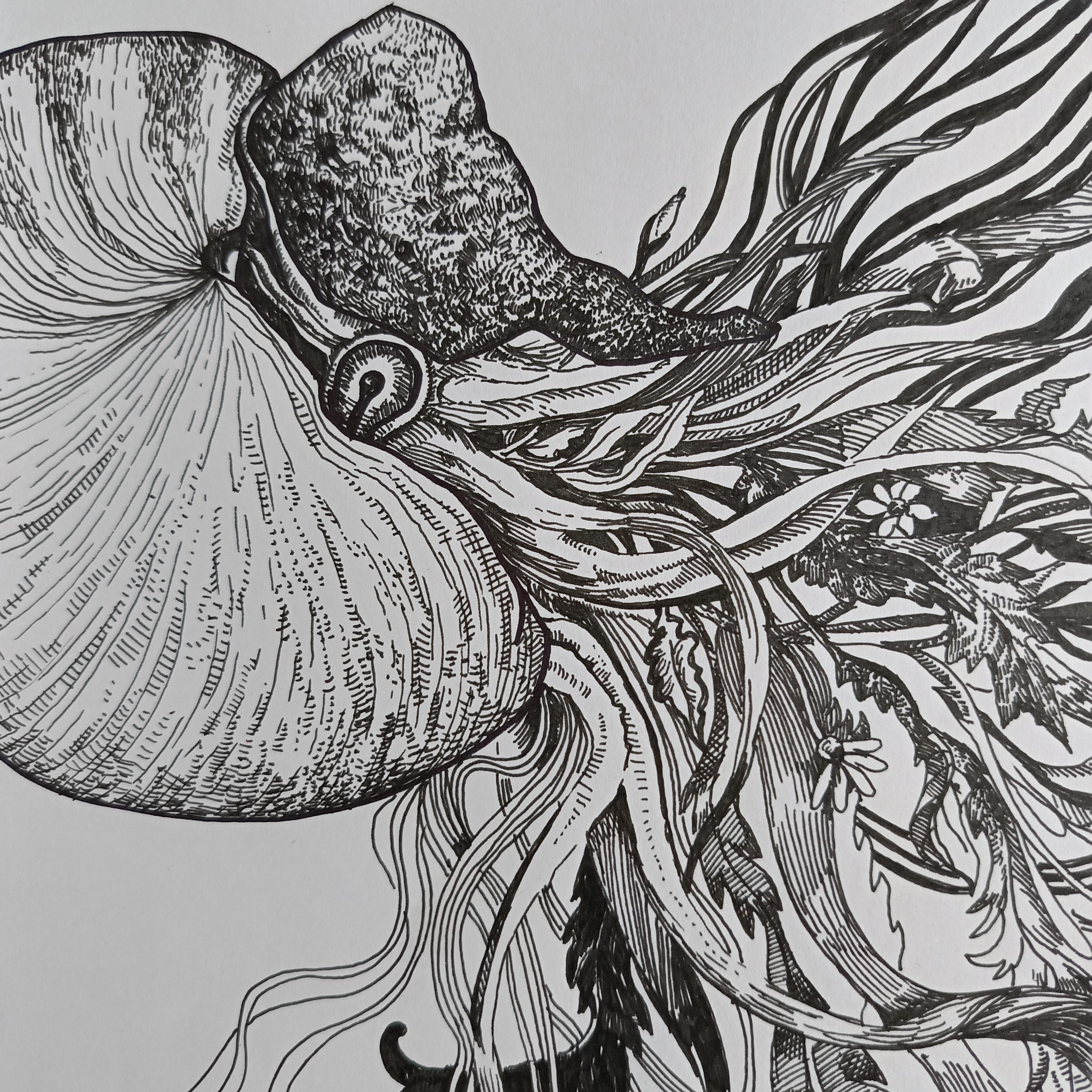 To blossom, you must come out of your shell. For Sale 4