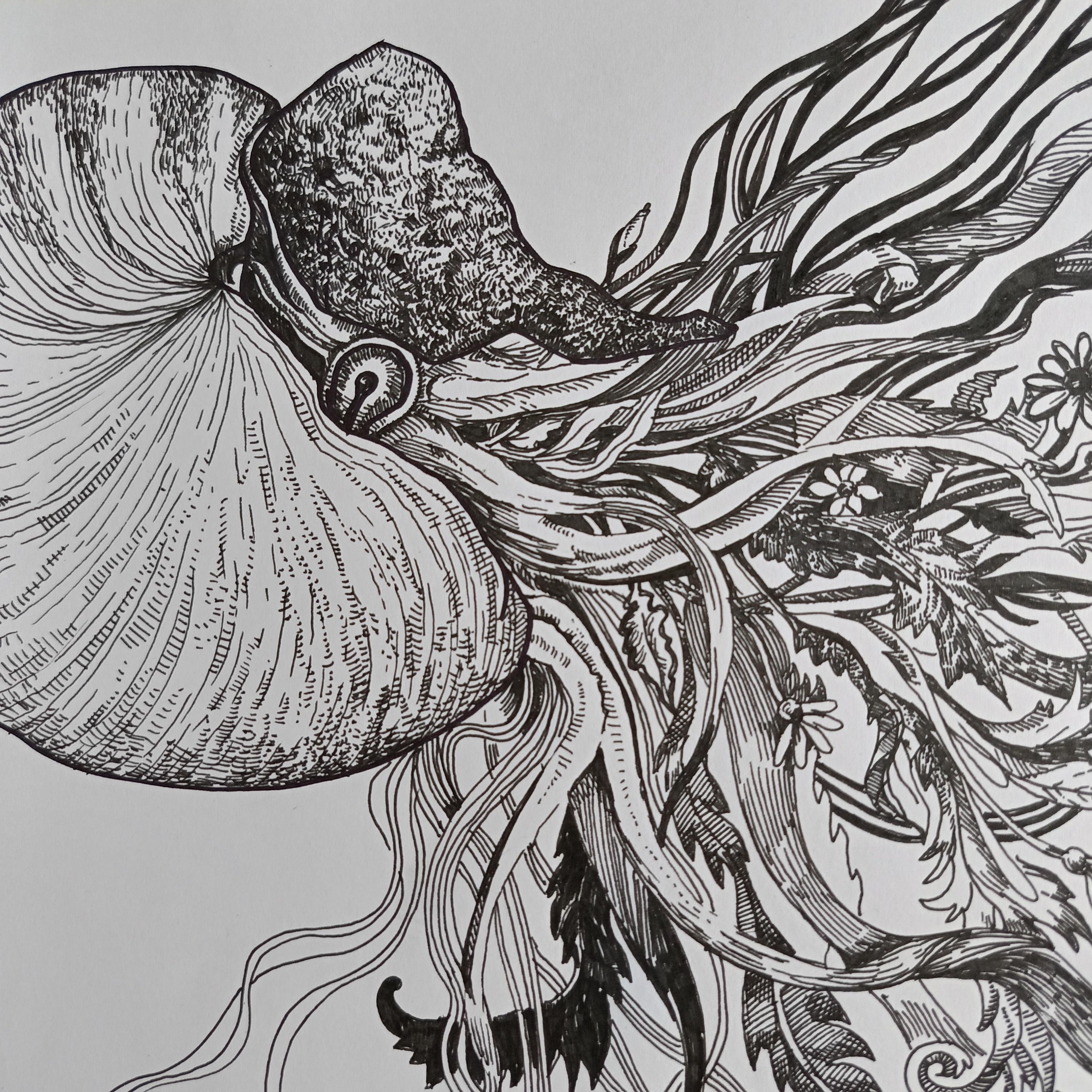 To blossom, you must come out of your shell. For Sale 8
