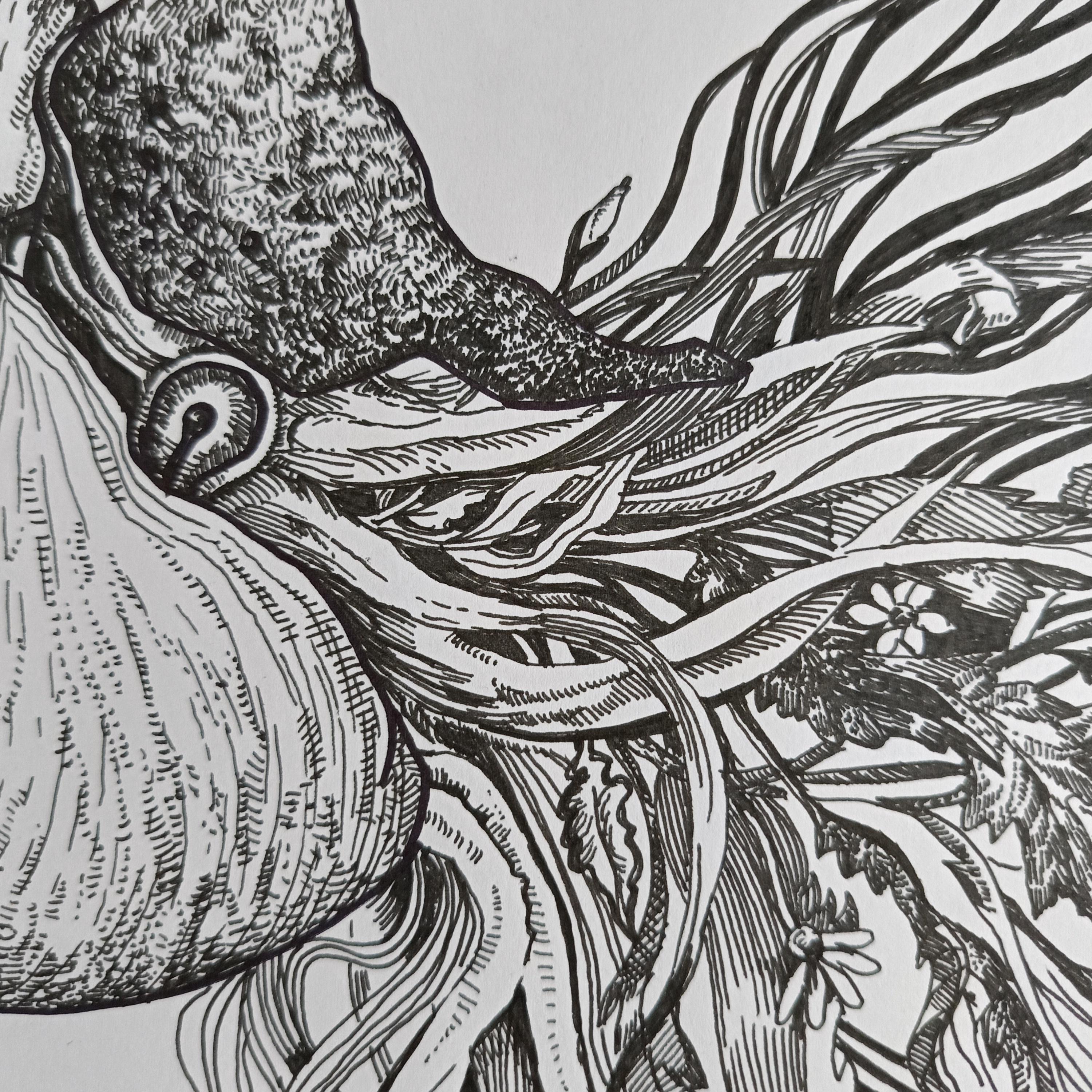 To blossom, you must come out of your shell. For Sale 10