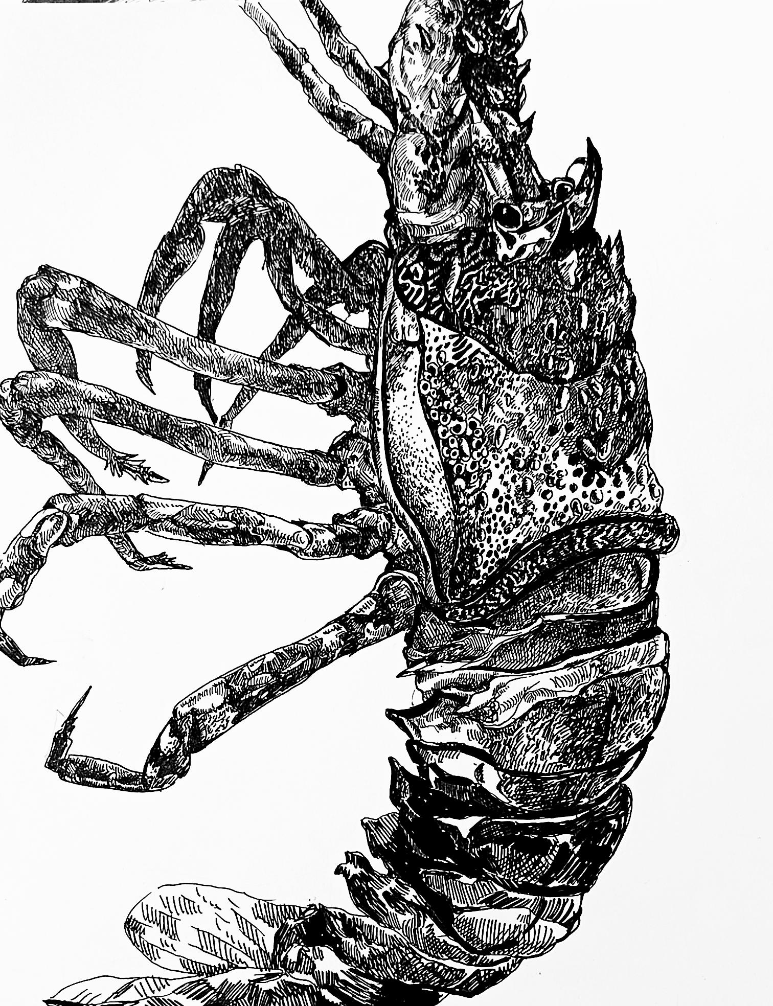 Animal Art Irina Burda  - Être visible