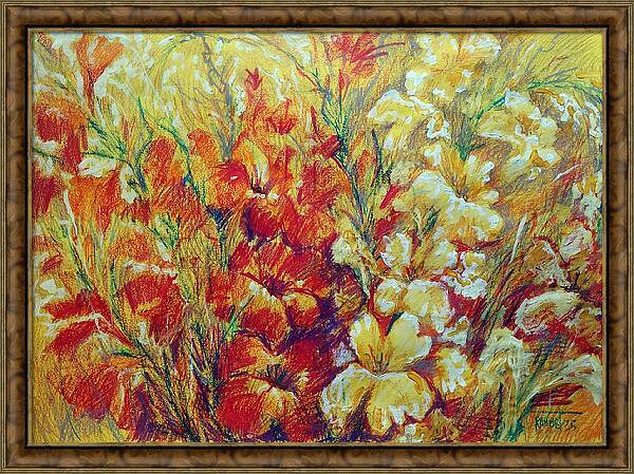 Gladiolus 2 For Sale 1