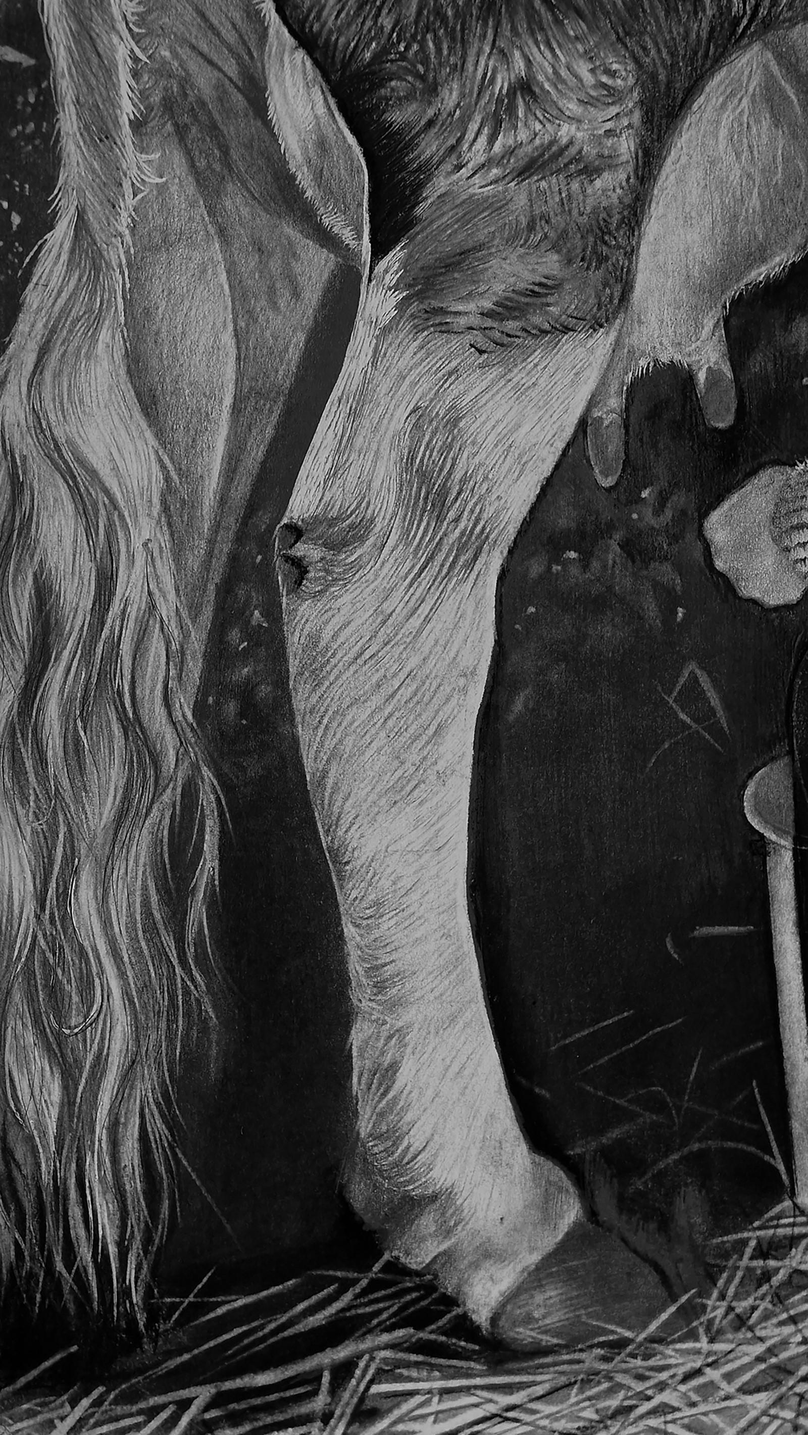 Ein Sommerabend, an dem sich die Zeit verlangsamt und die Herzen mit Frieden erfüllt sind. Eine Großmutter, die eine Kuh melkt und ihr Herz an eine einfache und doch so liebe Routine verschenkt. Der Geruch von frischer Milch, eine leichte Brise, die