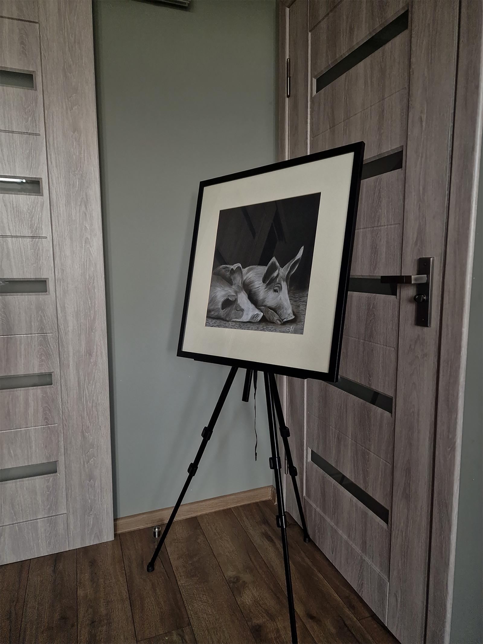 Two slightly lazy friends who are allowed to lie on their sides day and night. When the sun is hot, they both lie under the rays by the door and enjoy it, falling asleep.

This artwork belongs to the 