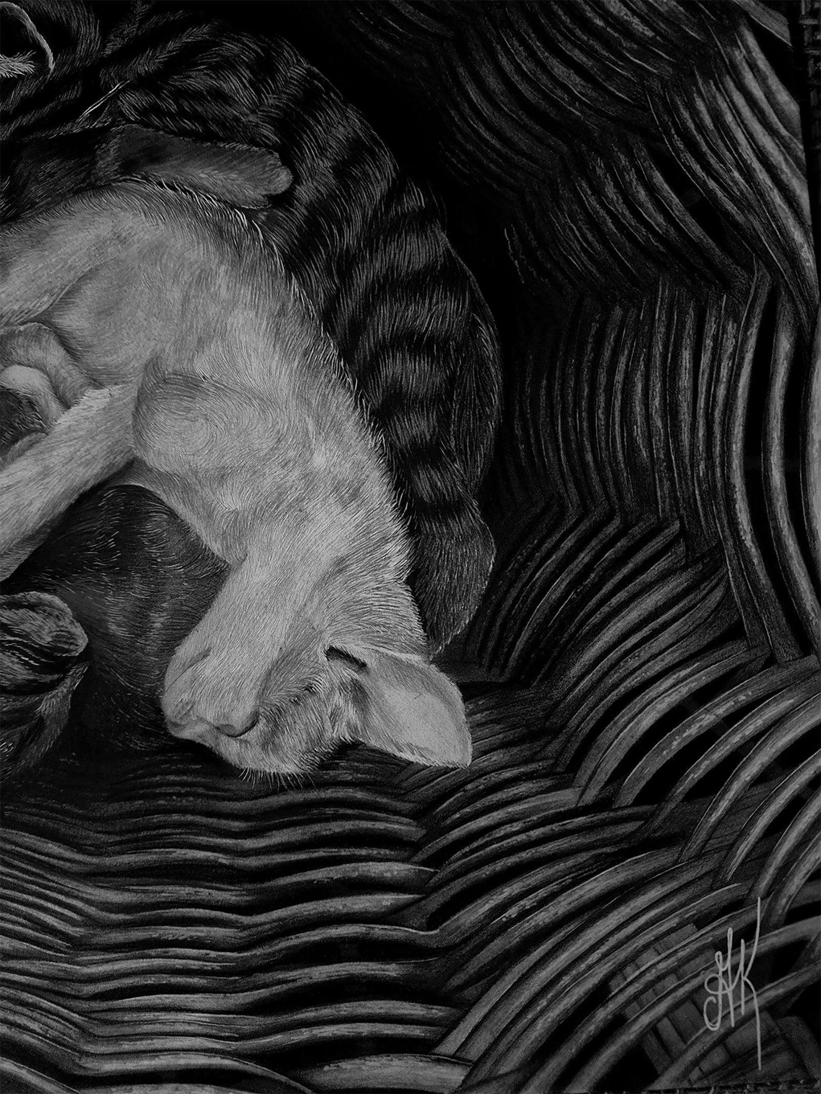 Descrizione dell'opera originale:
Questi giovani gattini si rallegrano sinceramente per ogni passante, che li guarda fiducioso negli occhi come se li invitasse a mostrare affetto. Dopo giochi vivaci e avventure, si sono accoccolati in un'accogliente