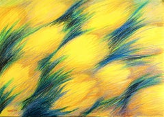 Landscape Drawings and Watercolors