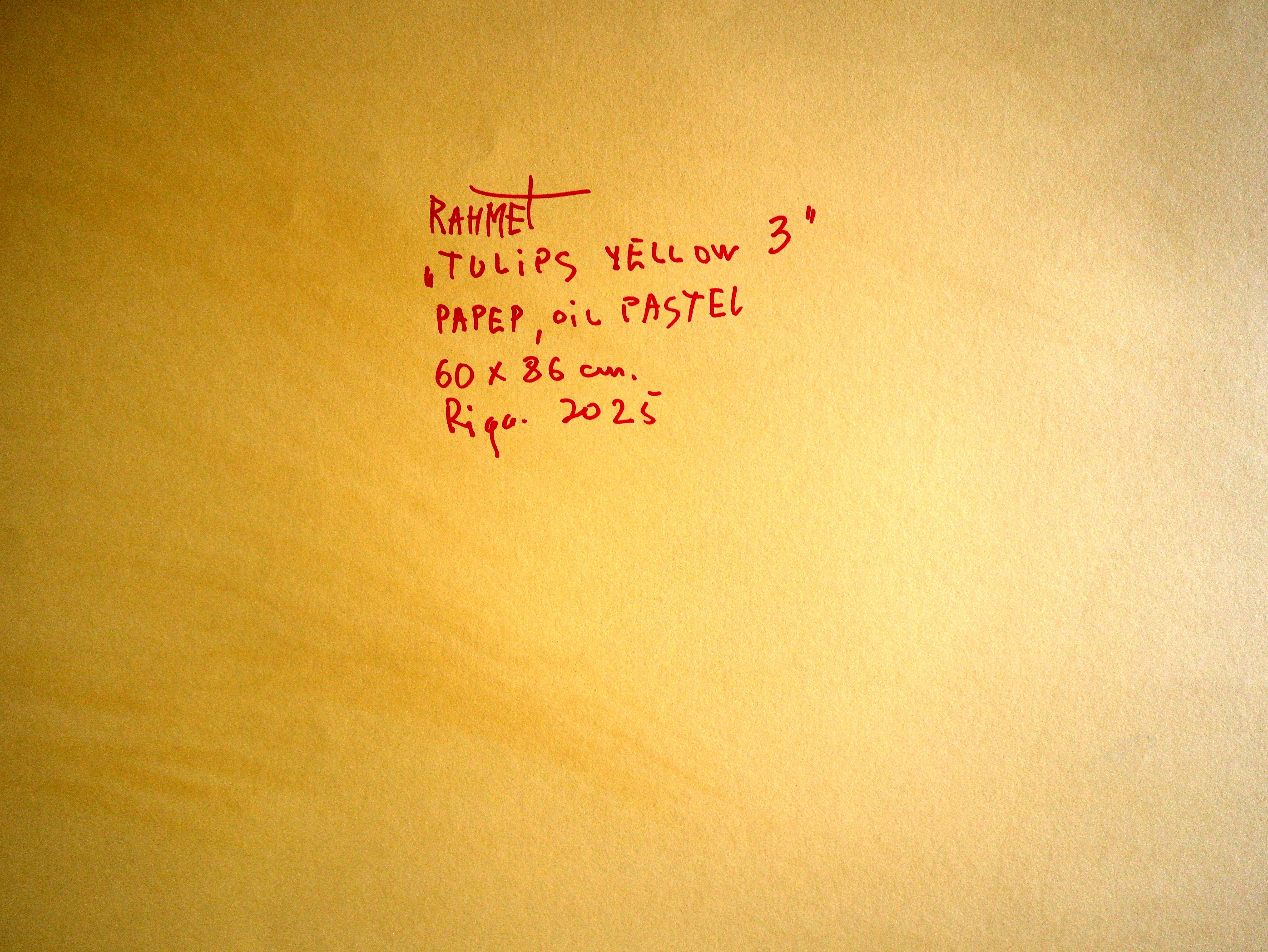 Tulipanes Amarillo 3 en venta 7