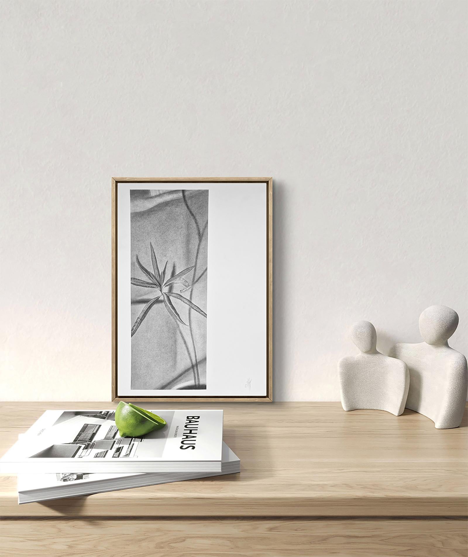 Als ich an dieser Pflanze vorbeiging, blieb ich plötzlich stehen - in diesem Moment kam mir eine Idee für eine neue Serie. Diese Serie ist anders als alle meine bisherigen Arbeiten. Es geht nicht um eine Fülle von Details, sondern um die Kraft eines