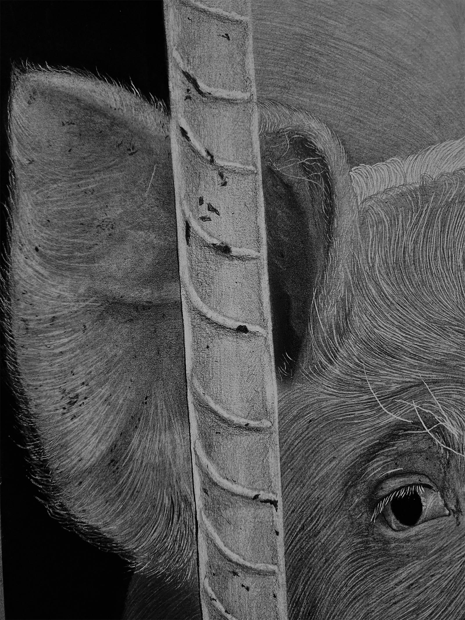 Descripción de la obra original:
A menudo se ve a los cerdos de forma negativa, pero yo siempre he sentido calidez y amabilidad hacia ellos. Son juguetones, amables e infinitamente curiosos. Cuando te acercas, te saluda con un gruñidito alegre, como