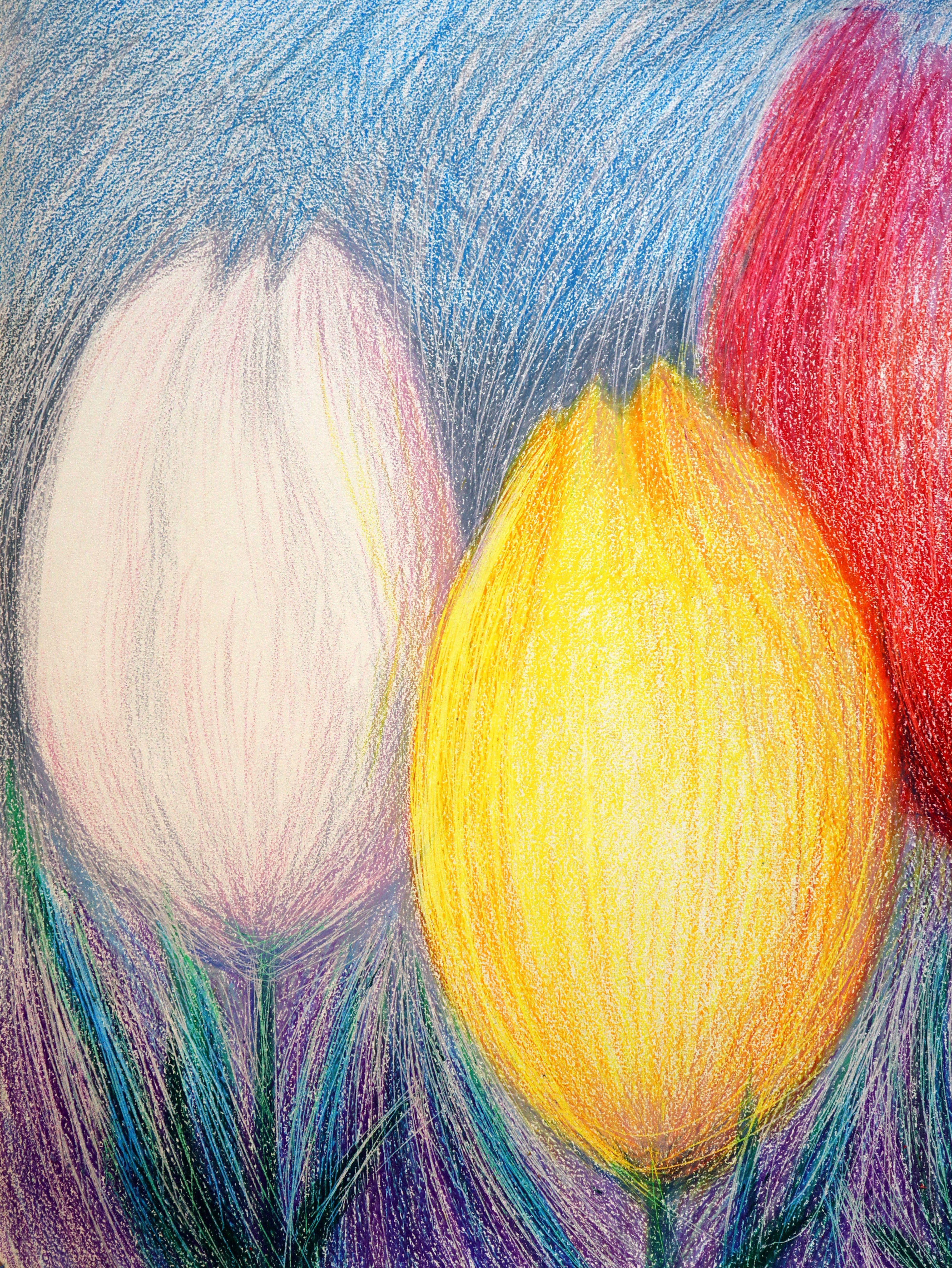 Tulipanes blancos 2 en venta 1