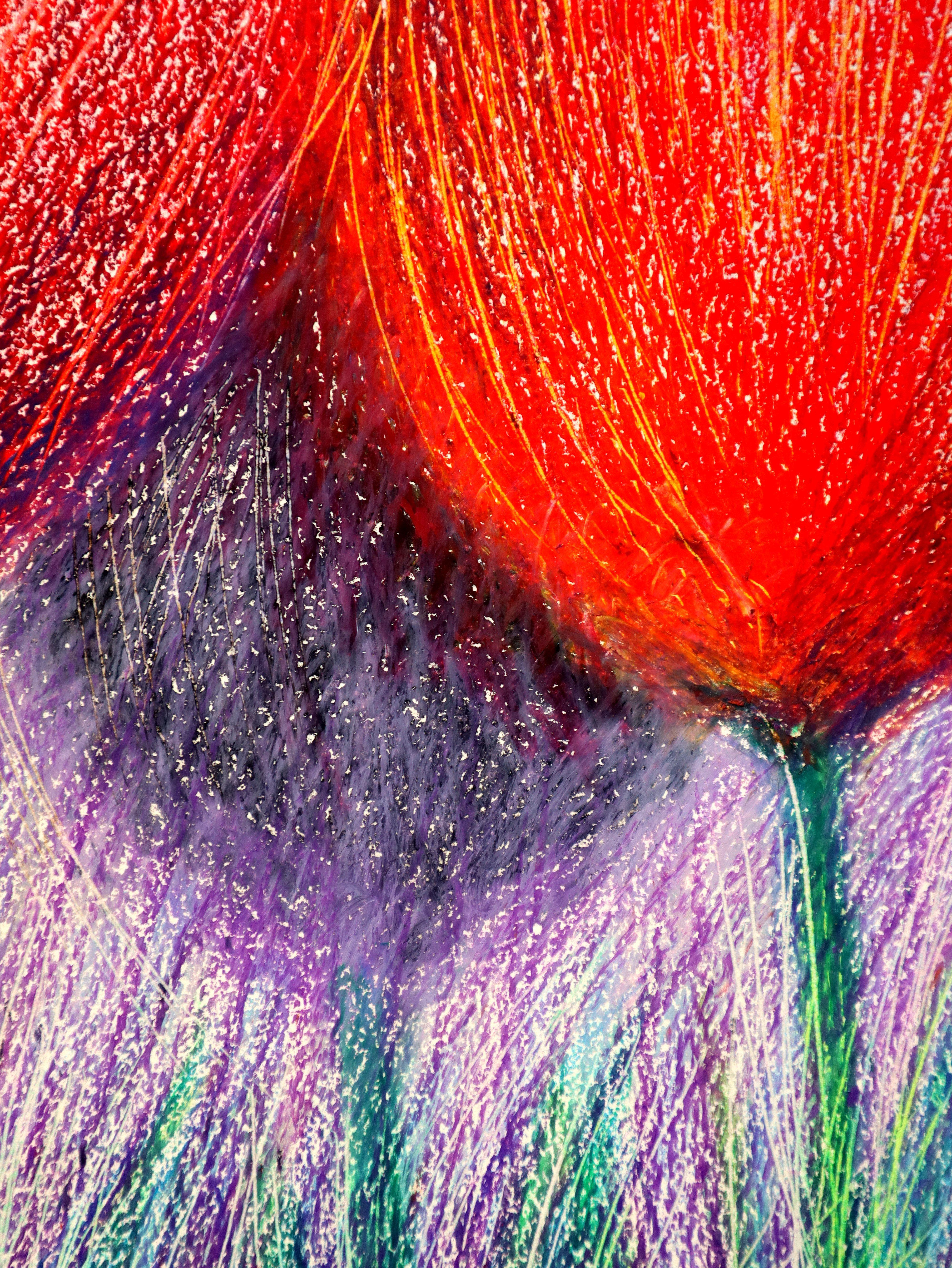 Tulipanes blancos 2 en venta 4