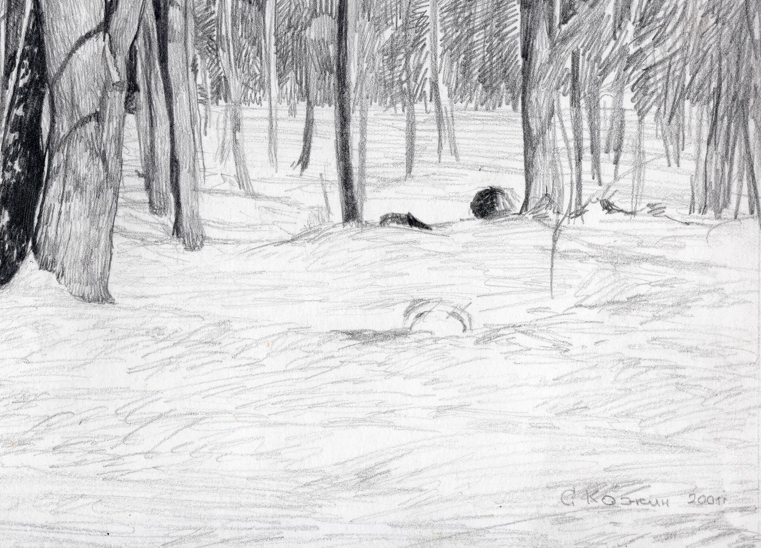 Ce dessin capture magistralement le paysage hivernal ensoleillé du parc Kolomenskoye grâce à une technique de crayon précise. La scène représente une forêt enneigée, où des érables dénudés se dressent élégamment sur une couche de neige blanche,