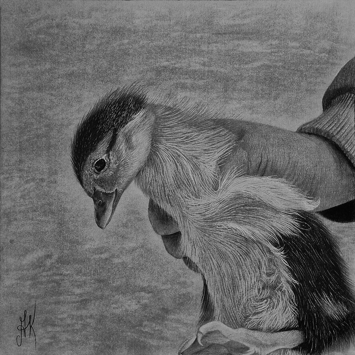 Kateryna Kostyk Animal Art - Tiny Life in Hands ("In hands" series)