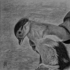 Tiny Life in Hands ("In hands" series)