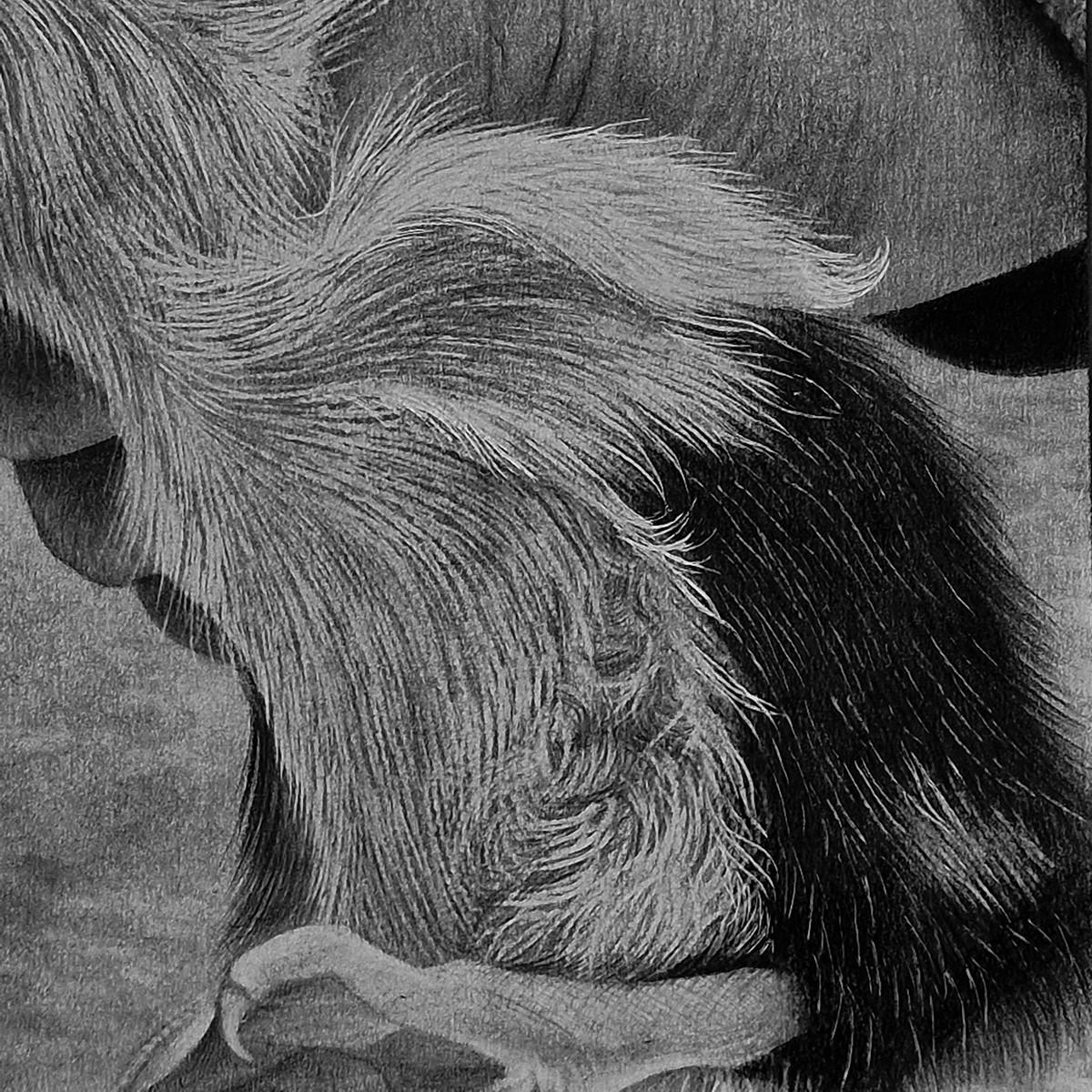 Tiny Life in Hands (