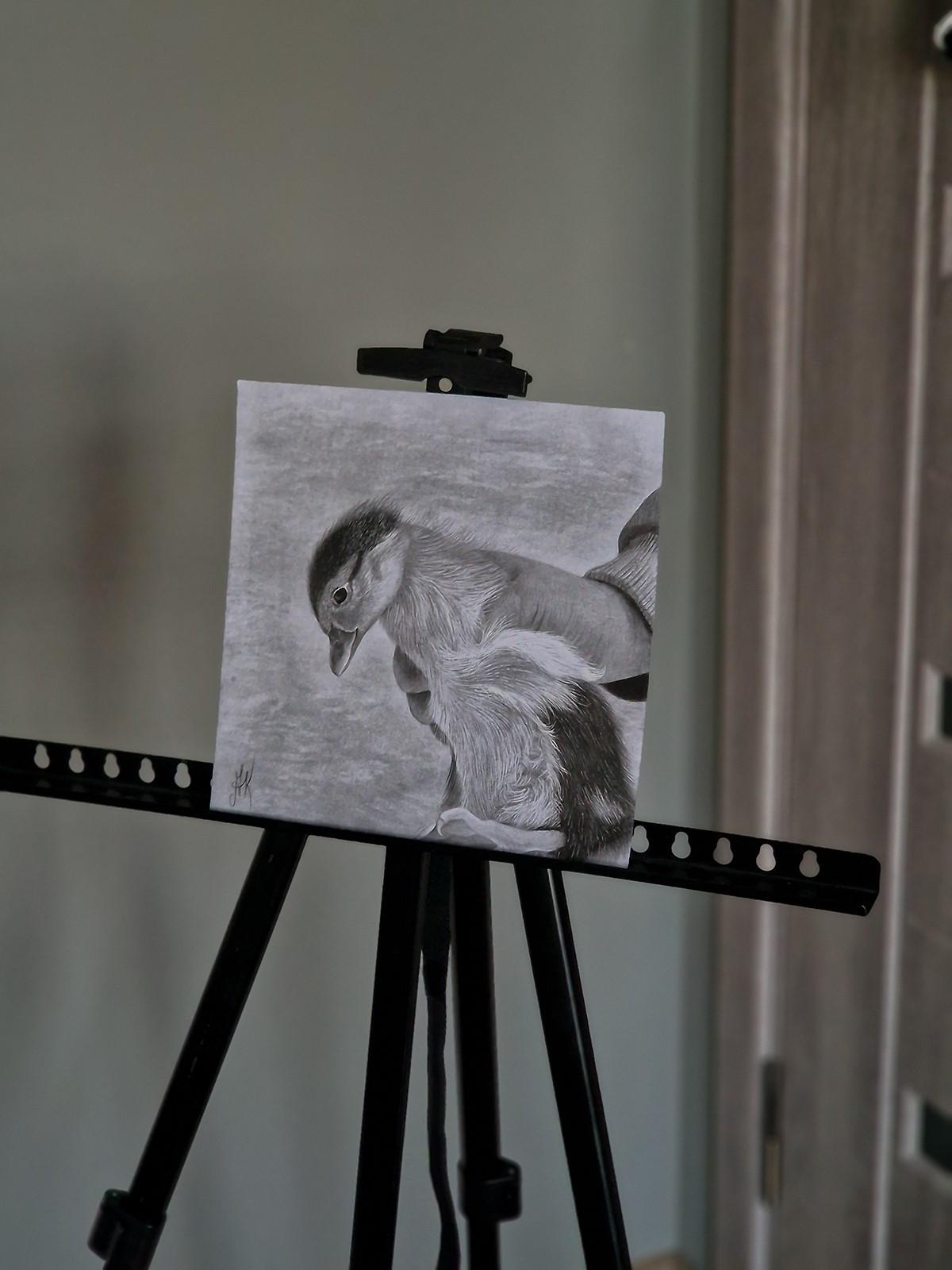 Tiny Life in Hands (