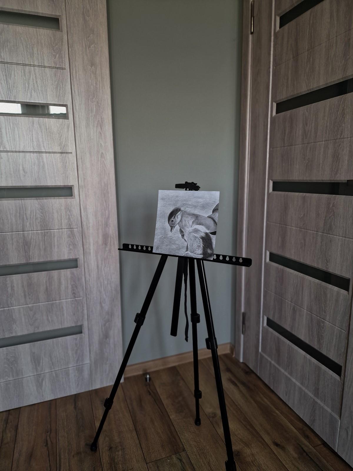 Tiny Life in Hands (