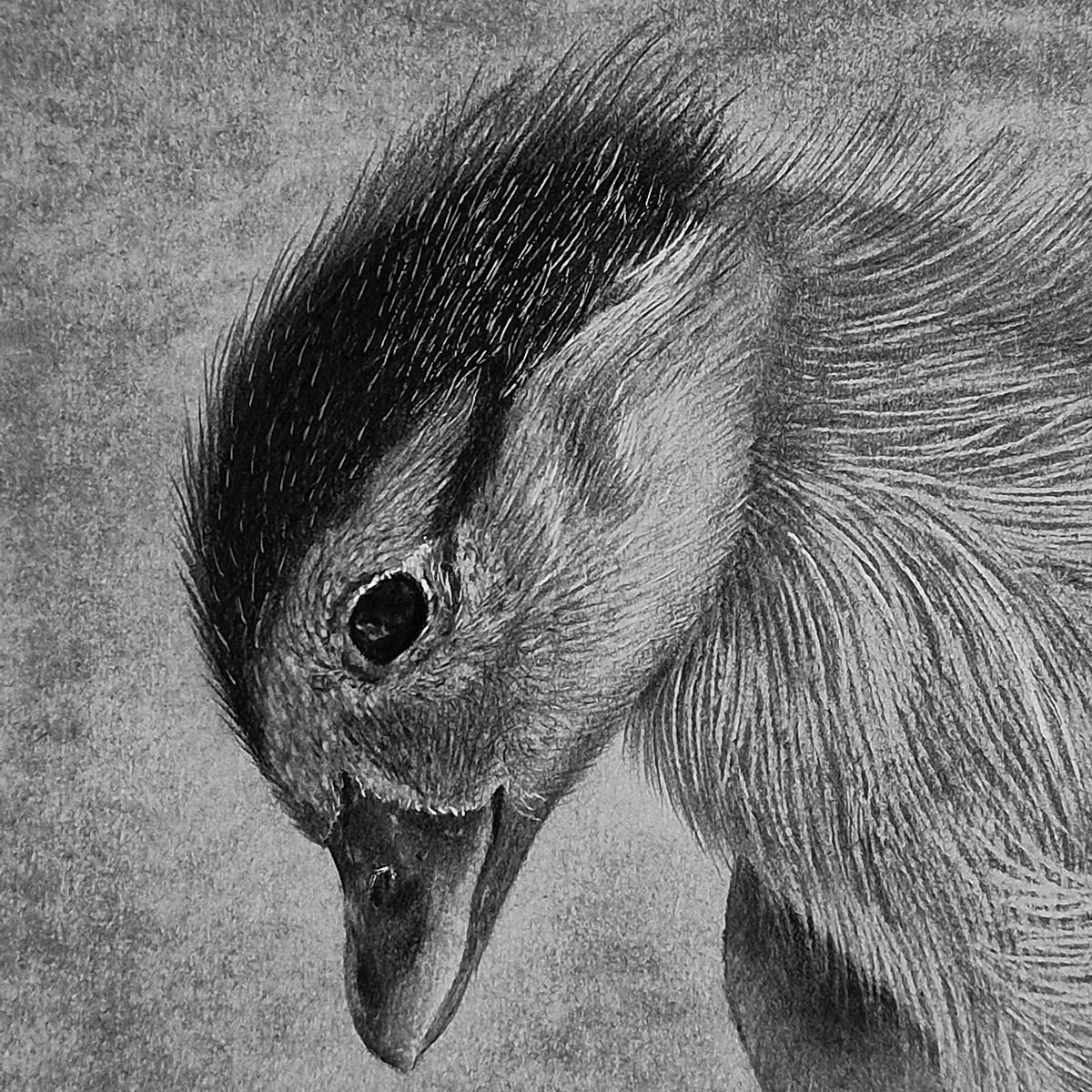 Tiny Life in Hands (