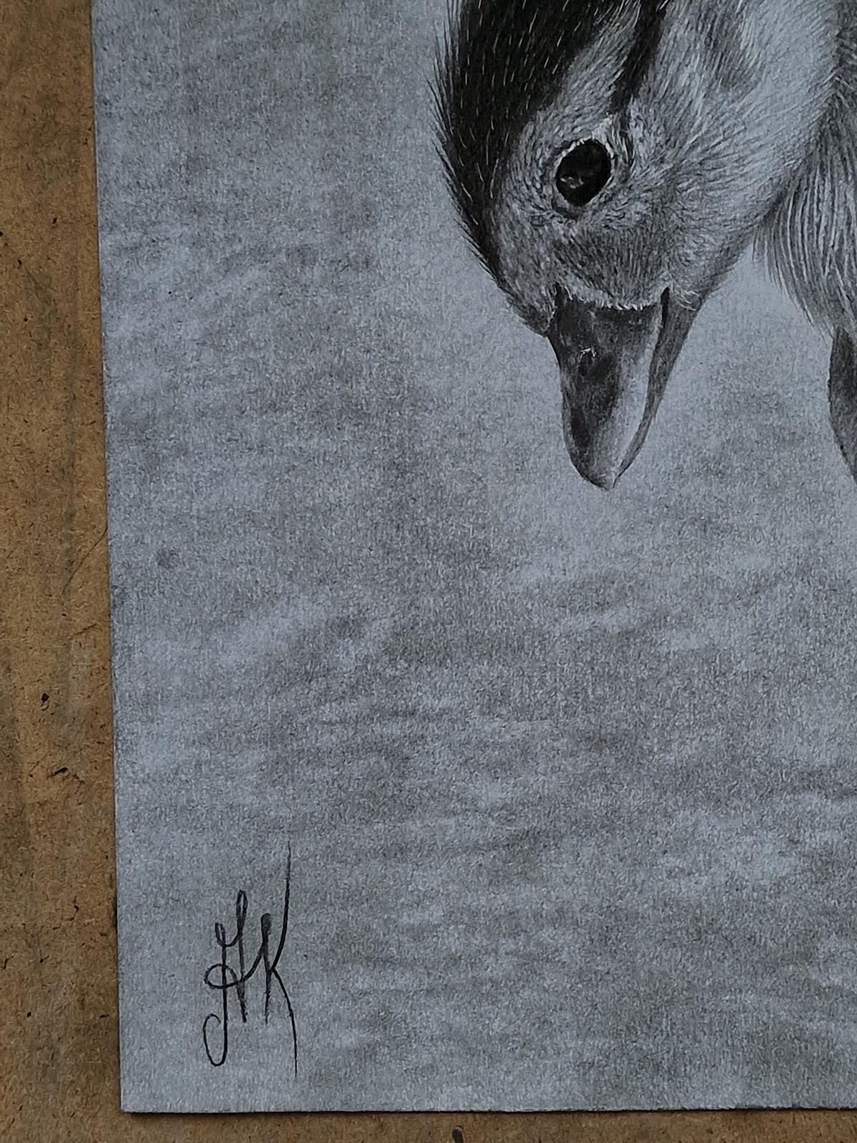 Tiny Life in Hands (