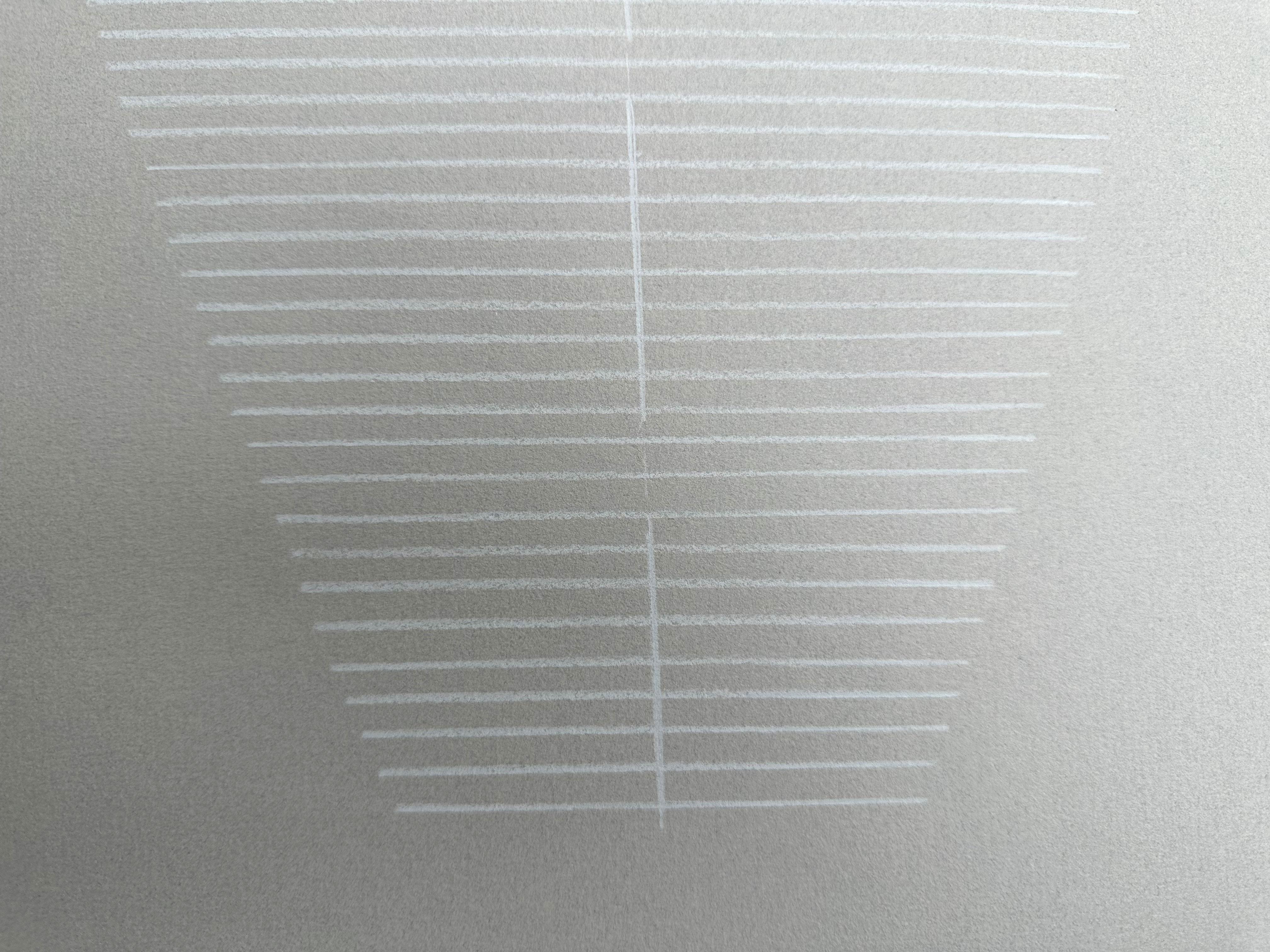 „Gore Light Cool Grey“ Buntes Bleistift auf Papier, Wabi-sabi, natürliches, neutrales Blatt (Minimalistisch), Art, von Amanda Andersen