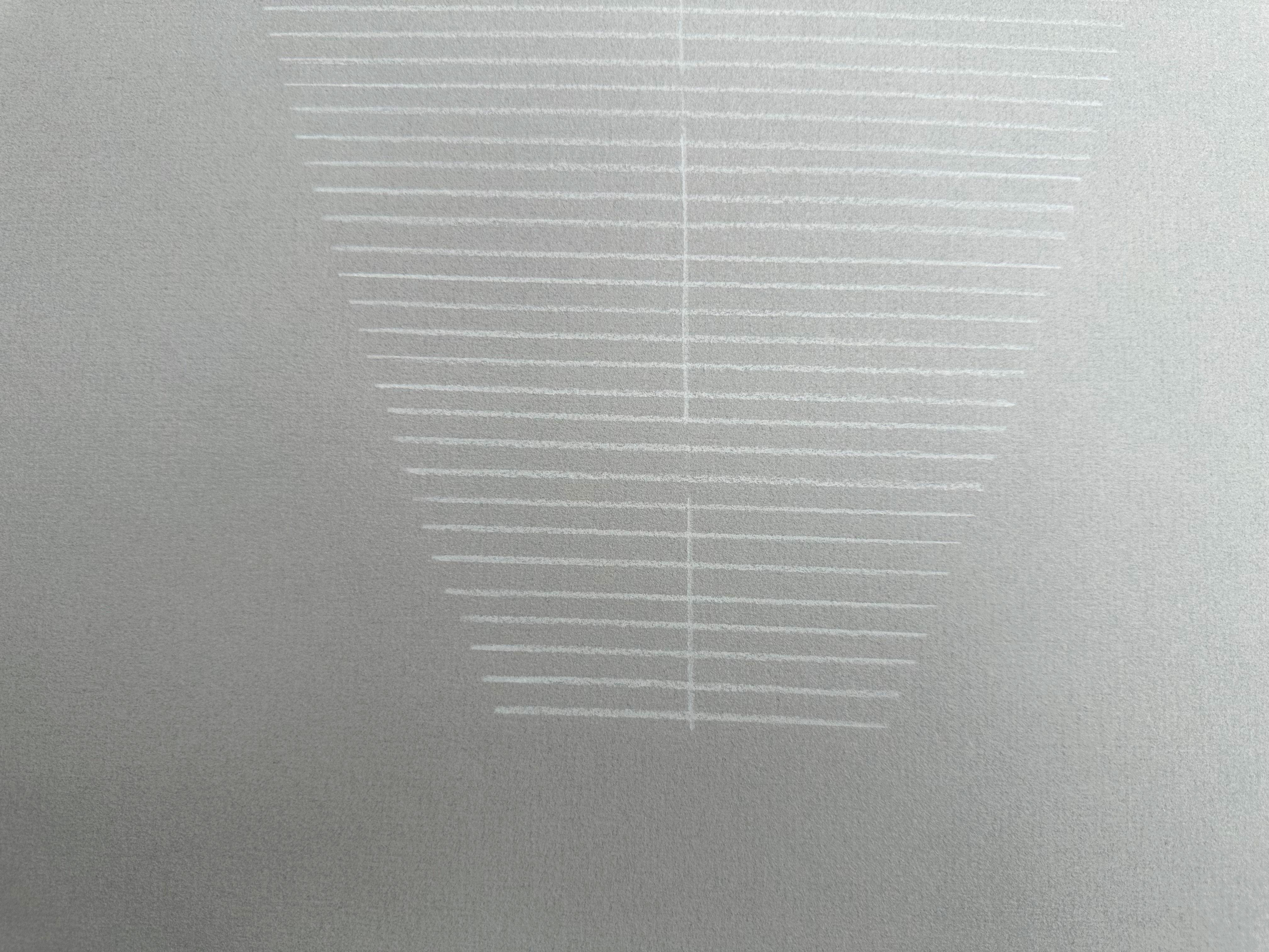 „Gore Light Warm Grey“ Zeichnung auf Papier, organische, neutrale Linien, abstraktes, minimalistisches Design im Angebot 1