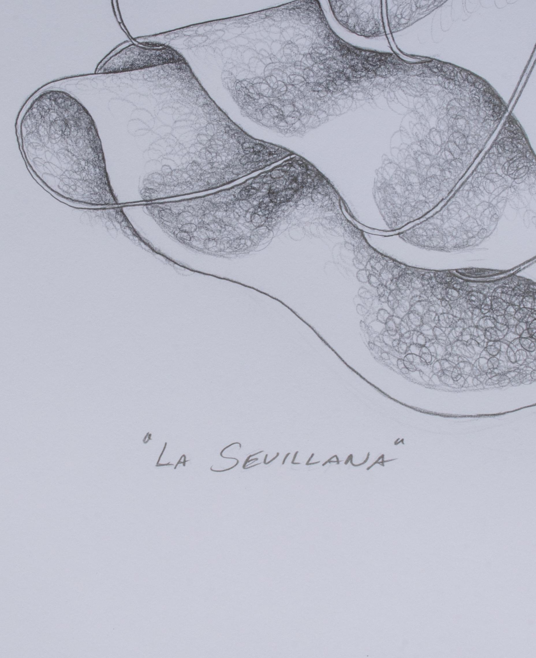 SACHA (American, b. 1965)
La Sevillana, 2004
Pencil on paper
20 x 16 in.
Signed lower right: Sacha '04
Inscribed lower left: 