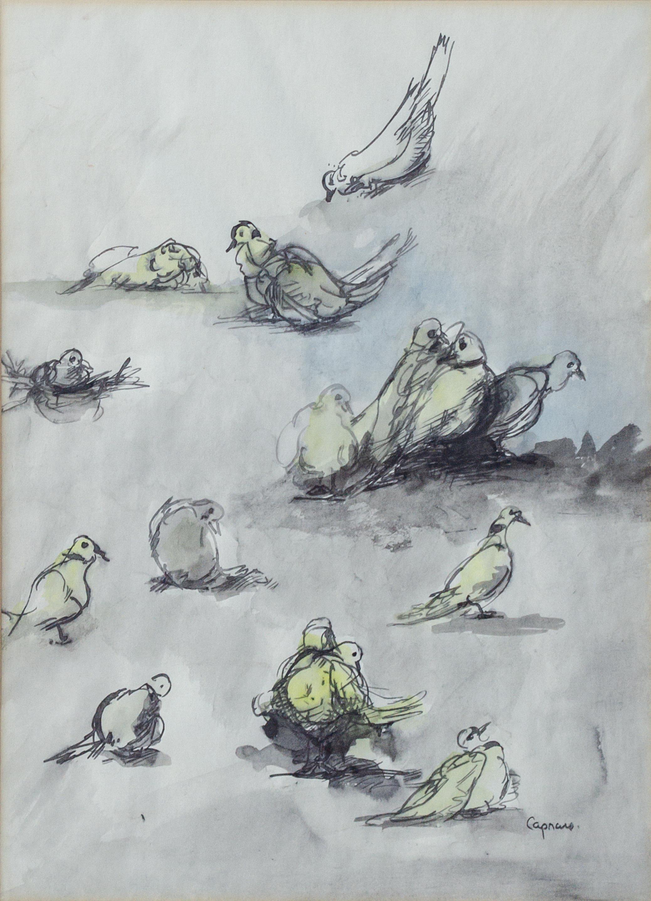 Former Vincent Price Collection, Dove Drawing by Vincent Capraro For Sale 1