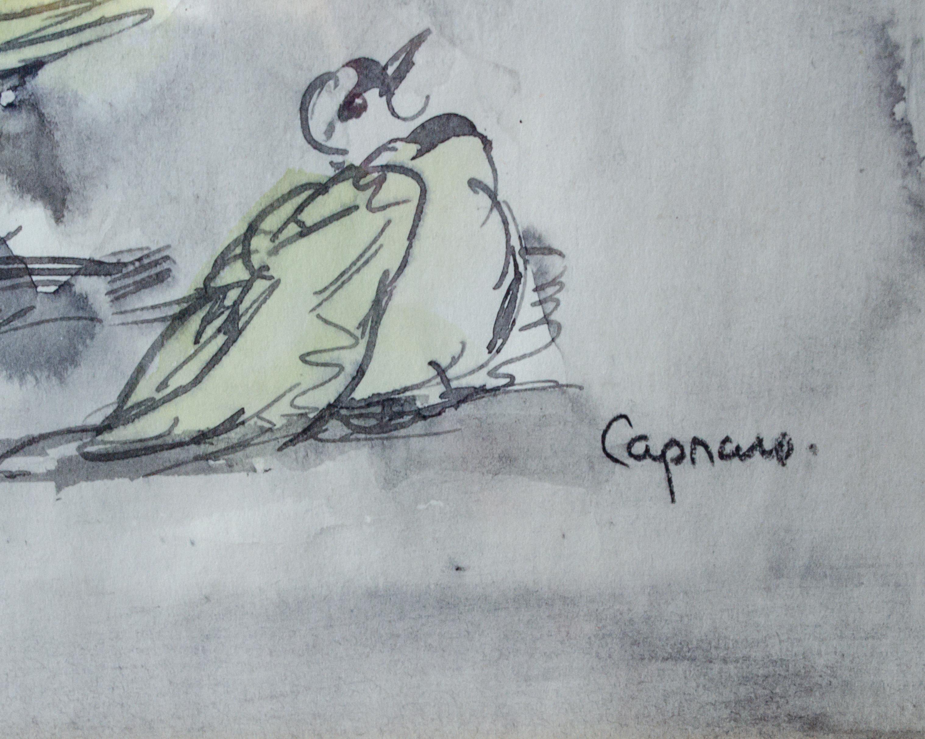 Former Vincent Price Collection, Dove Drawing by Vincent Capraro For Sale 2