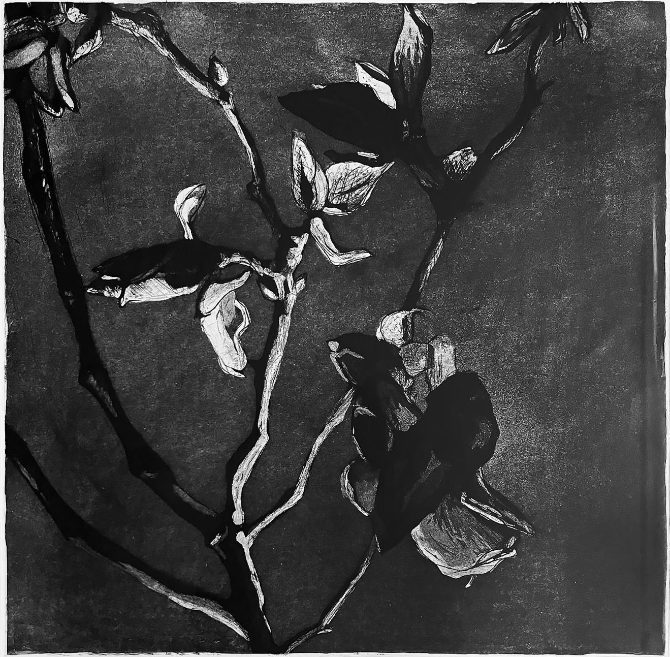 ANTOINE HALBWACHS Figurative Art - Magnolia