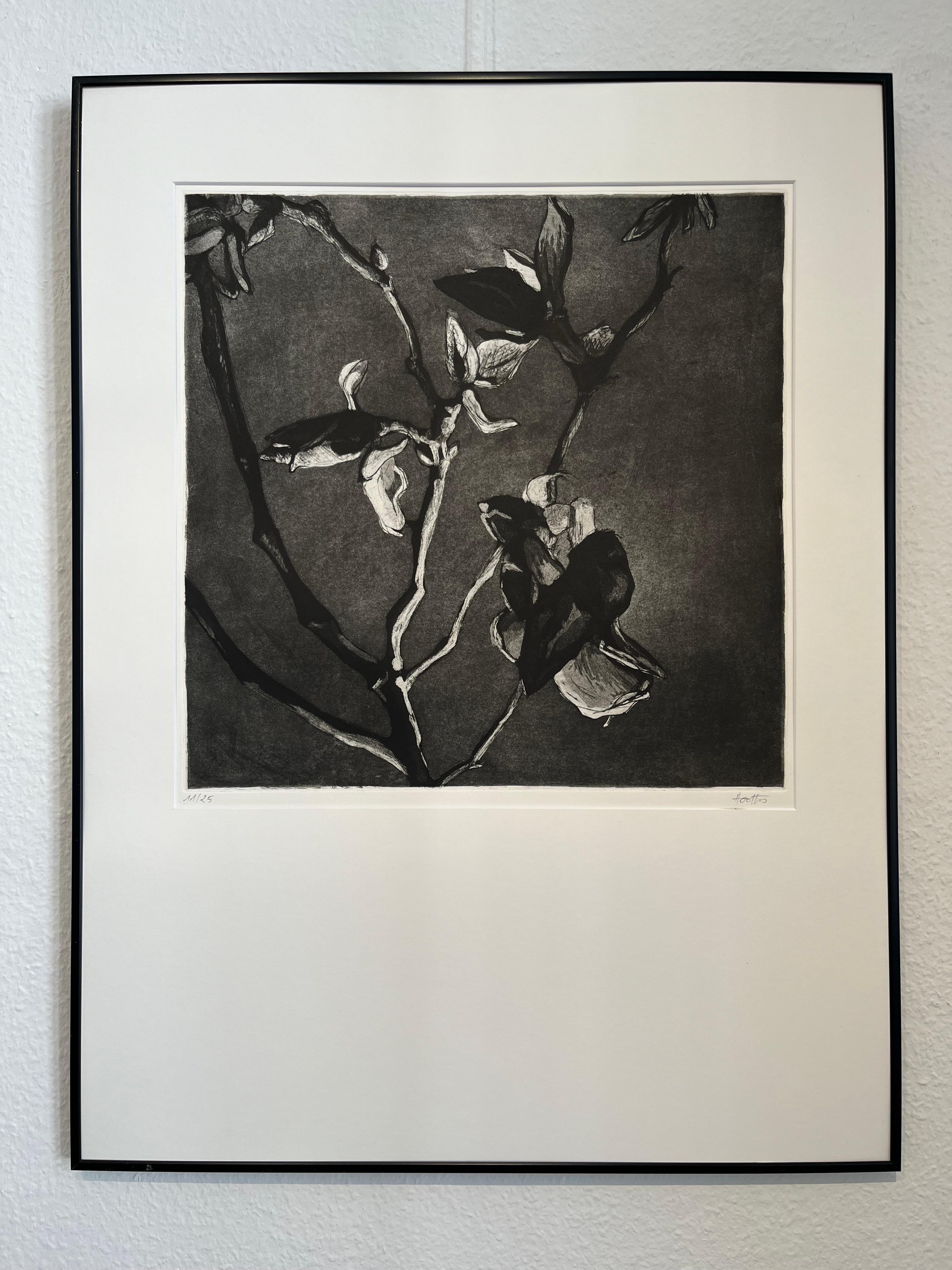 Magnolie – Art von ANTOINE HALBWACHS