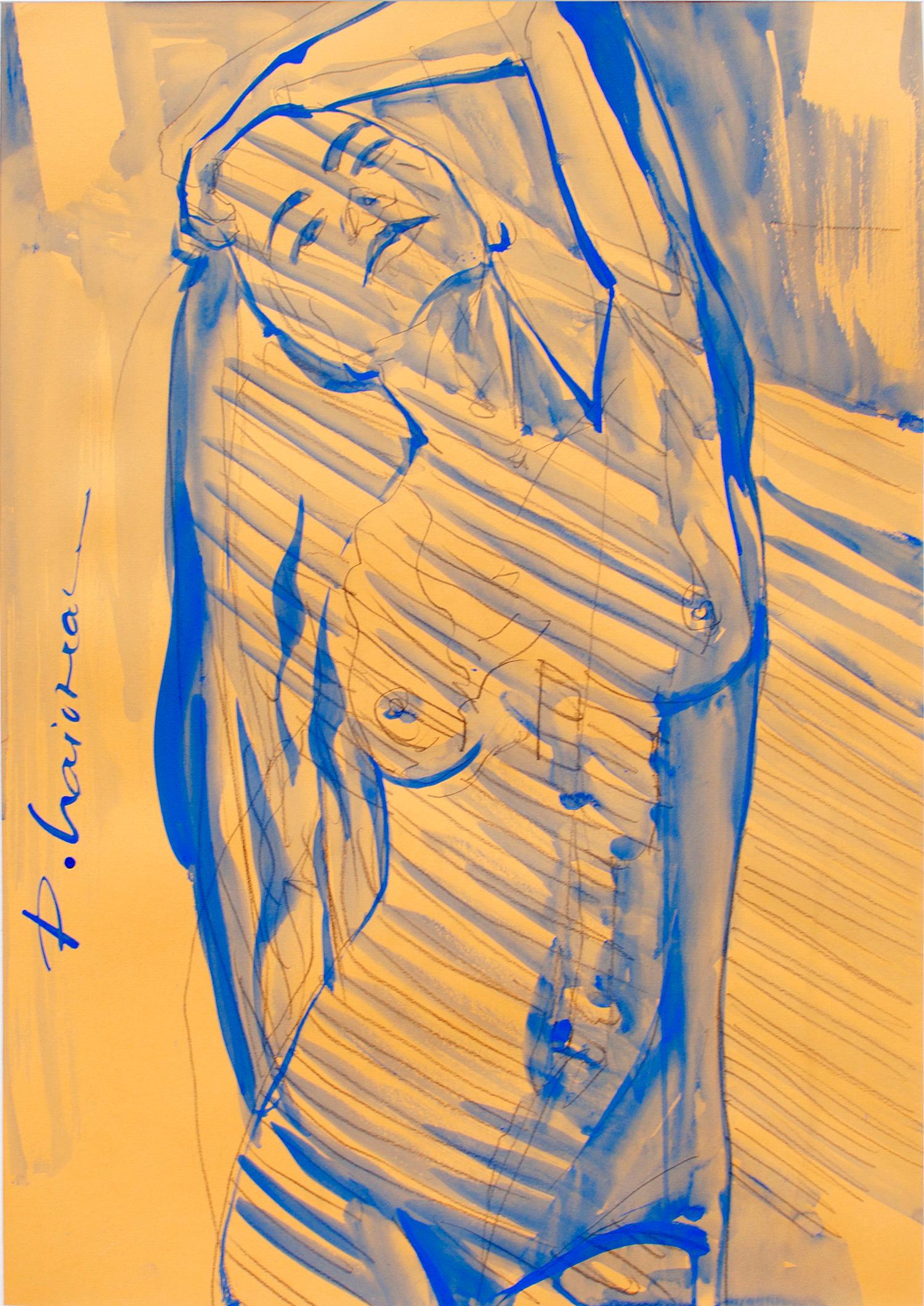 Nude in the Afternoon Sun, pencil and tempera on paper, inspired by Matisse.
Part of Nude in Interior series.
Shipped rolled in a tube, directly from the artist's studio.
In mat and framed as they were in the February exhibition, for display