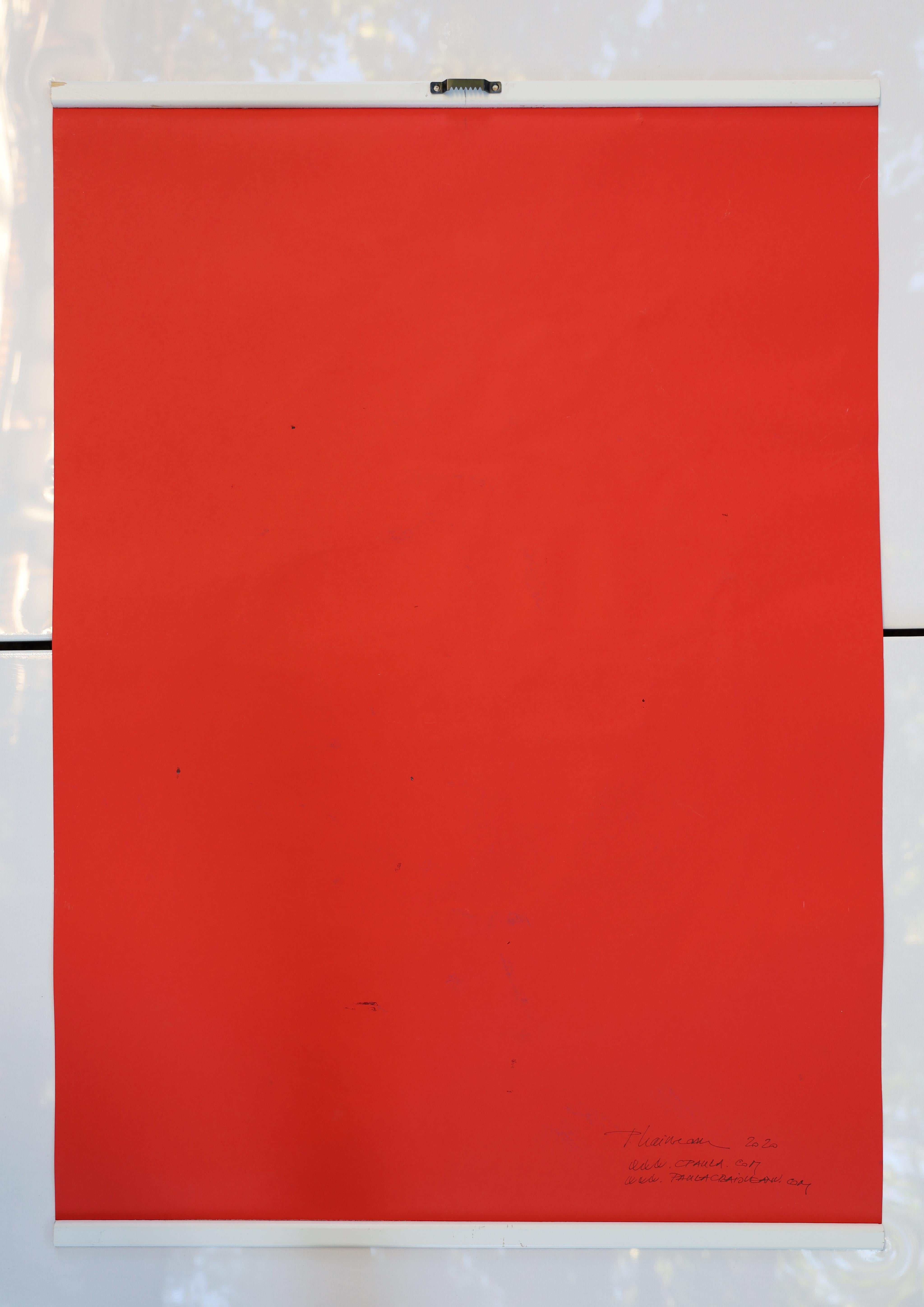 SLICED VENUS – Originale große Kunst von Paula Craioveanu 30x27in  im Angebot 4