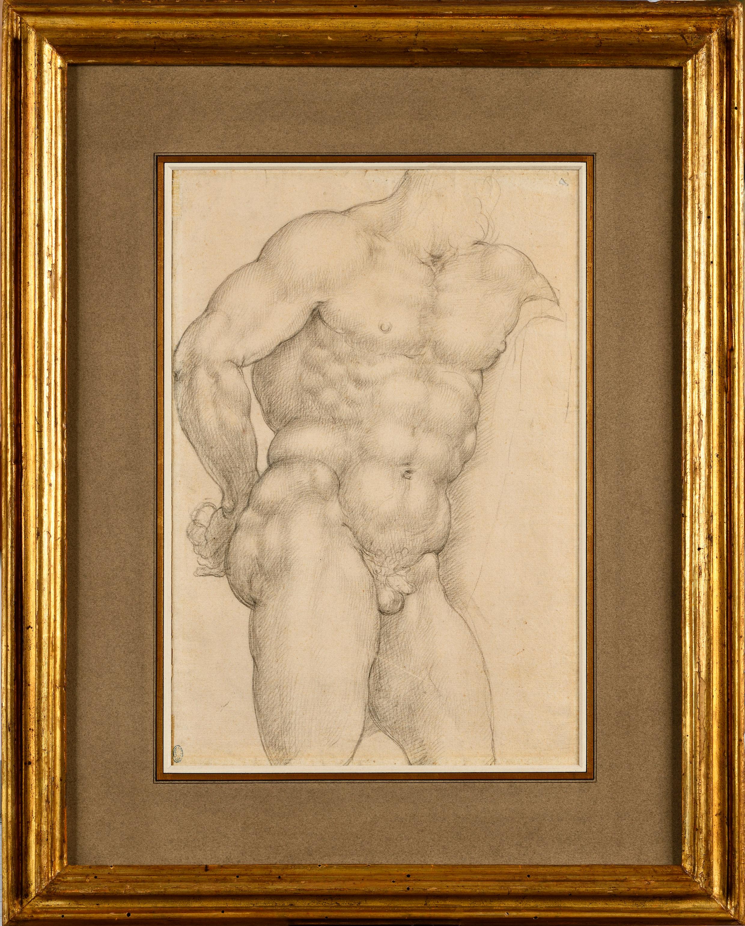 Studie nach Farnese Herkules-Herkules – Art von Giovanni Ambrogio FIGINO
