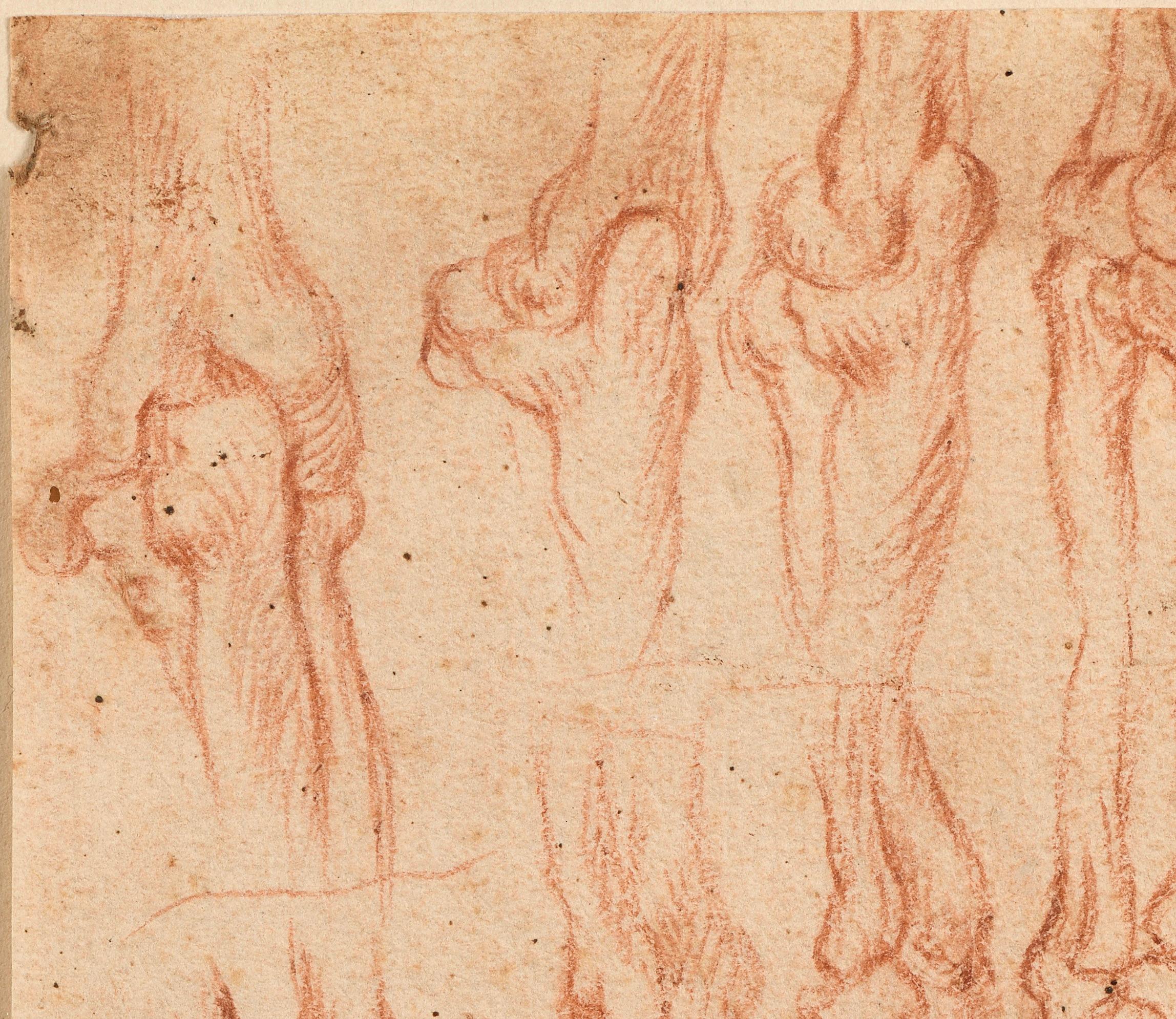 Italian School, late 16th century - Head of a Man and Écorché Studies of Arms - Marron Portrait par Unknown