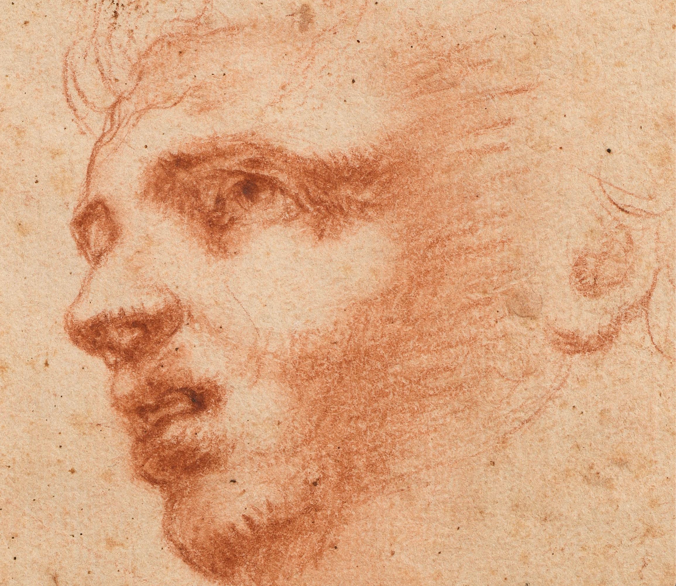 École italienne, fin du XVIe siècle 
Tête d'homme et études d'armoiries écorchées

Craie rouge sur papier vergé, 
21 x 11 cm

Provenance :
Collectional de Michael Jaffé CBE (1923-1997), historien de l'art anglais et directeur du Fitzwilliam Museum,