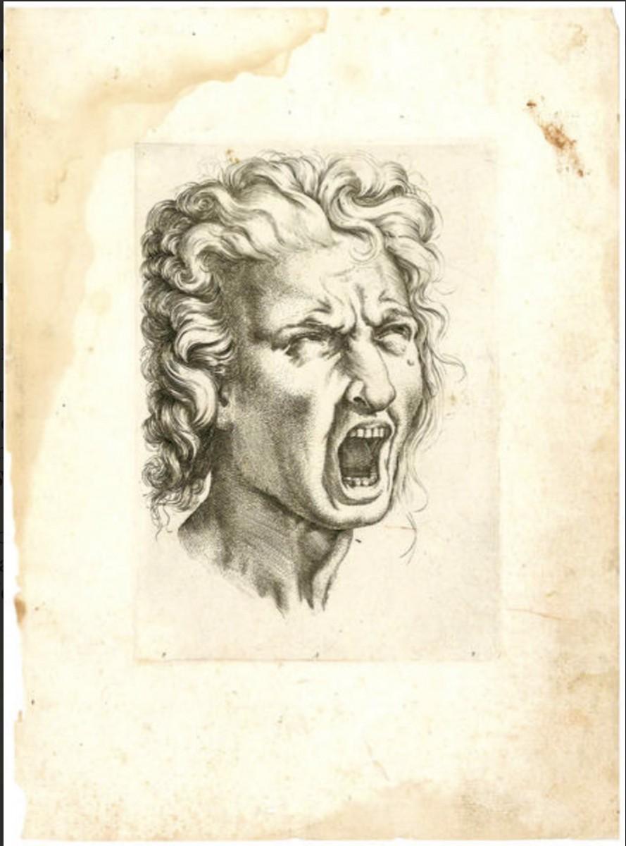 Schreiendes Gesicht (Braun), Portrait, von Denys CALVAERT