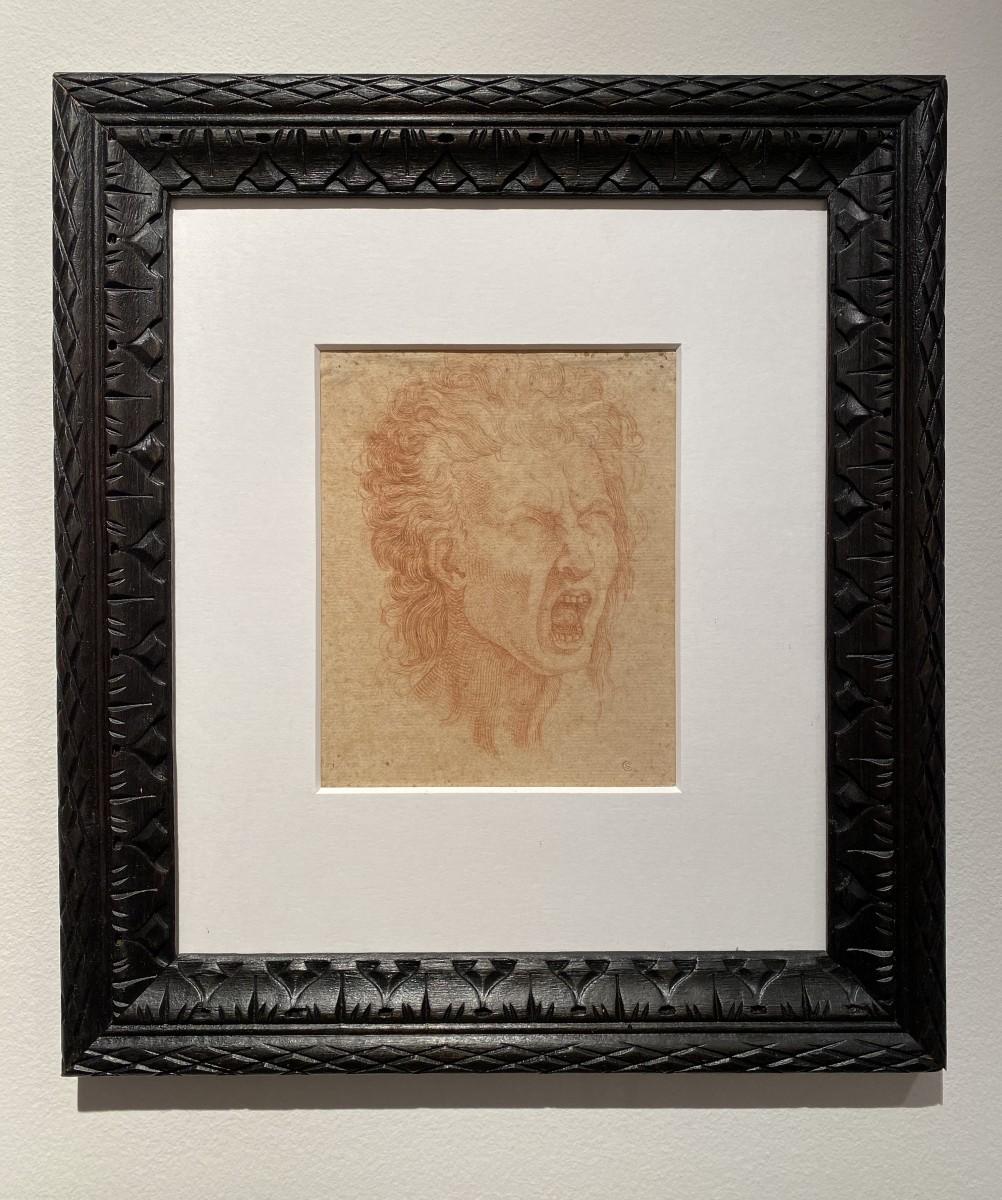 Schreiendes Gesicht – Art von Denys CALVAERT