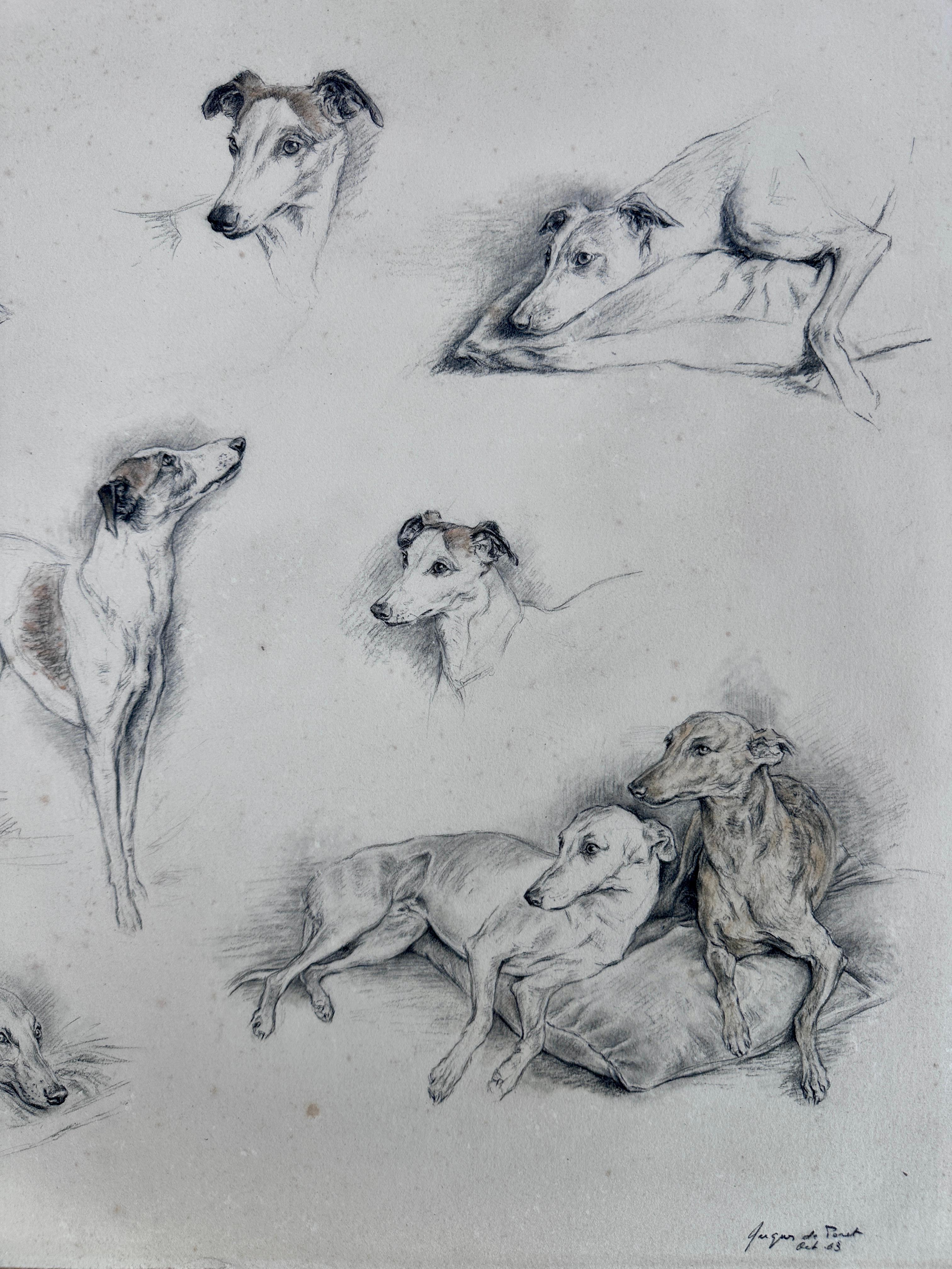 Studio dei levrieri - Animal Art Grigio di Xavier de Poret